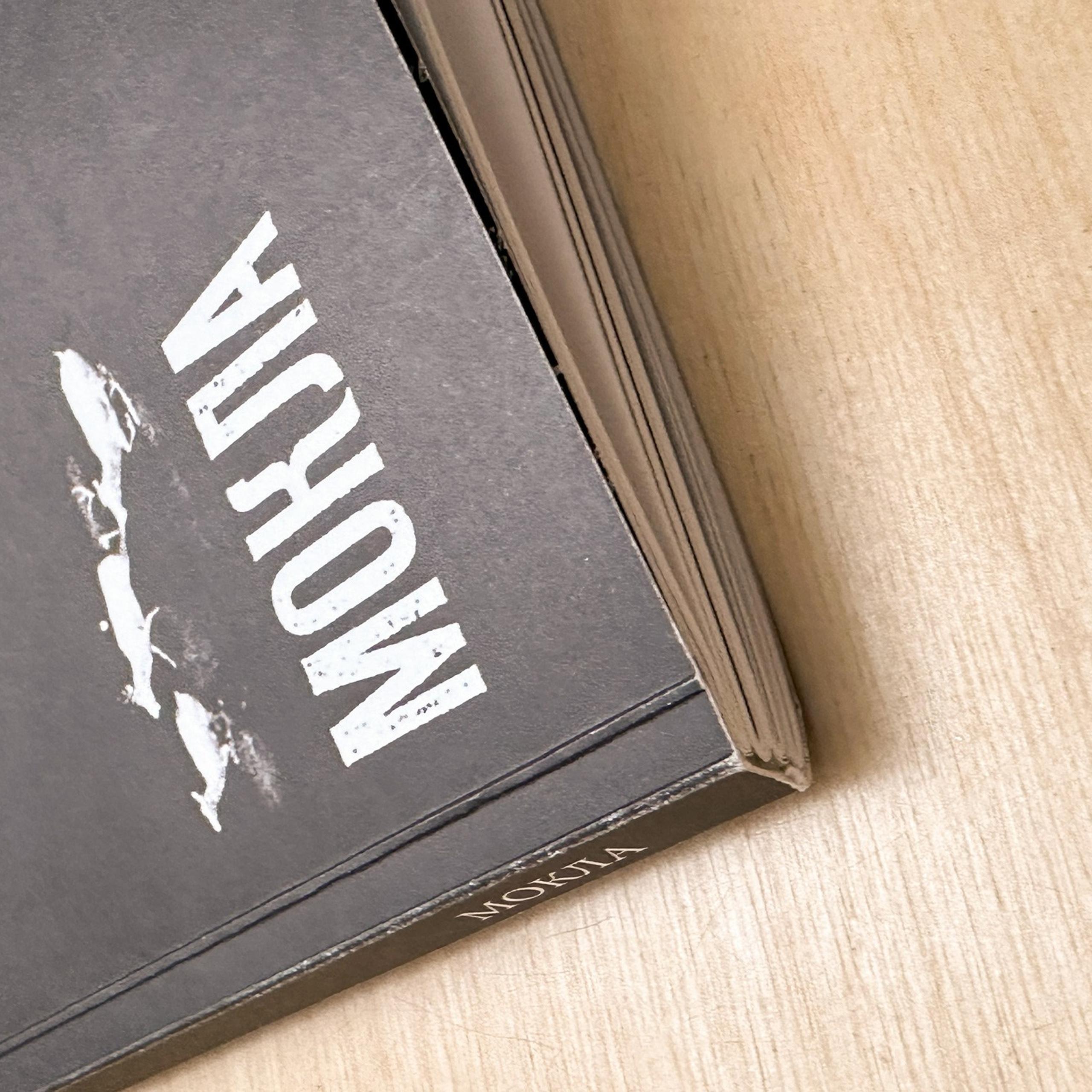 Книги. Василий Пиндюрин визуальный художник