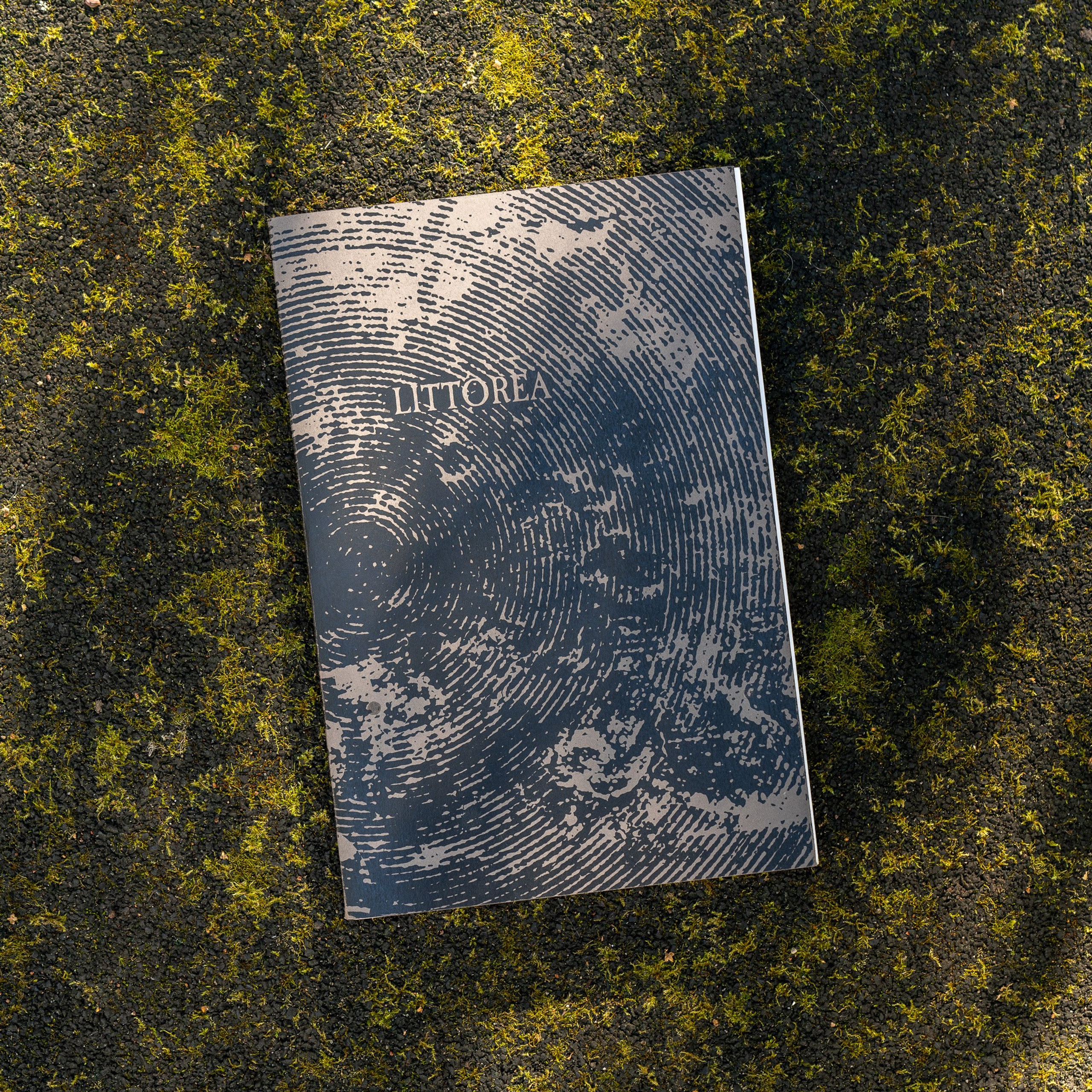 Книги. Василий Пиндюрин визуальный художник