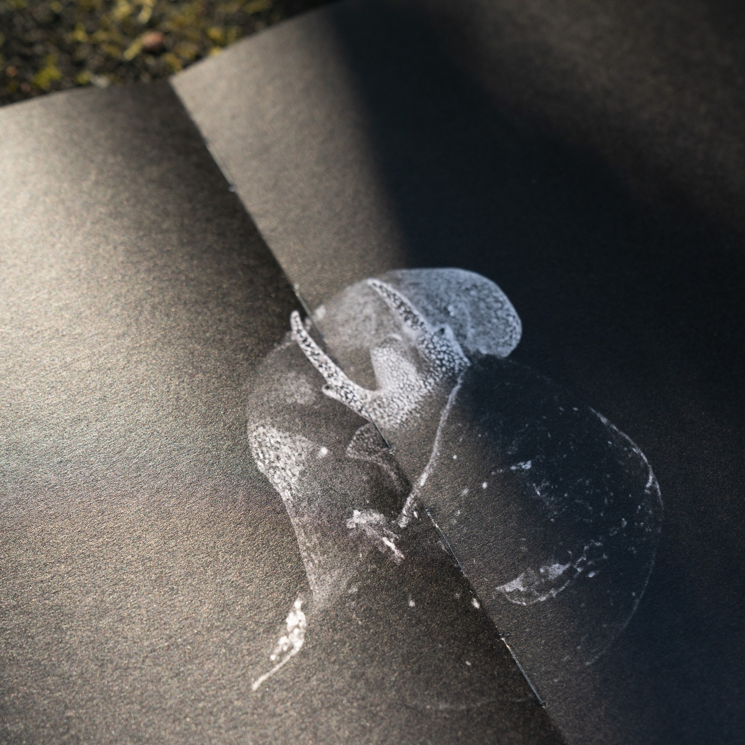 Книги. Василий Пиндюрин визуальный художник