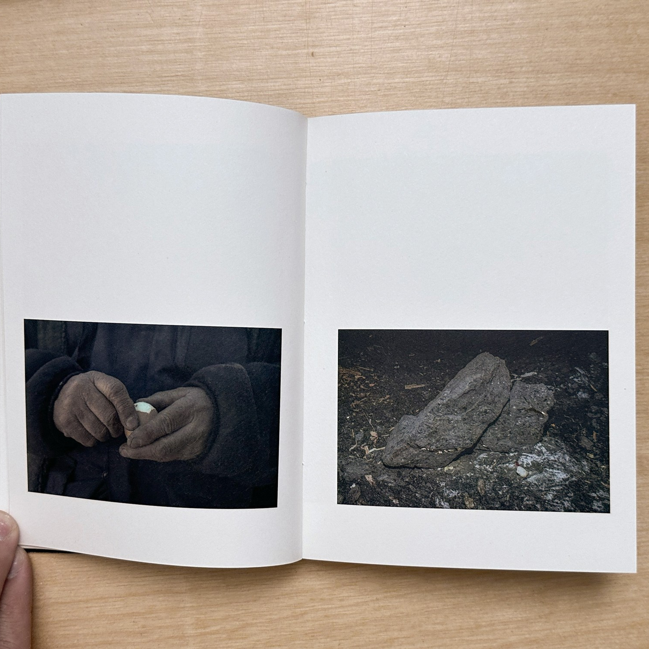 Книги. Василий Пиндюрин визуальный художник