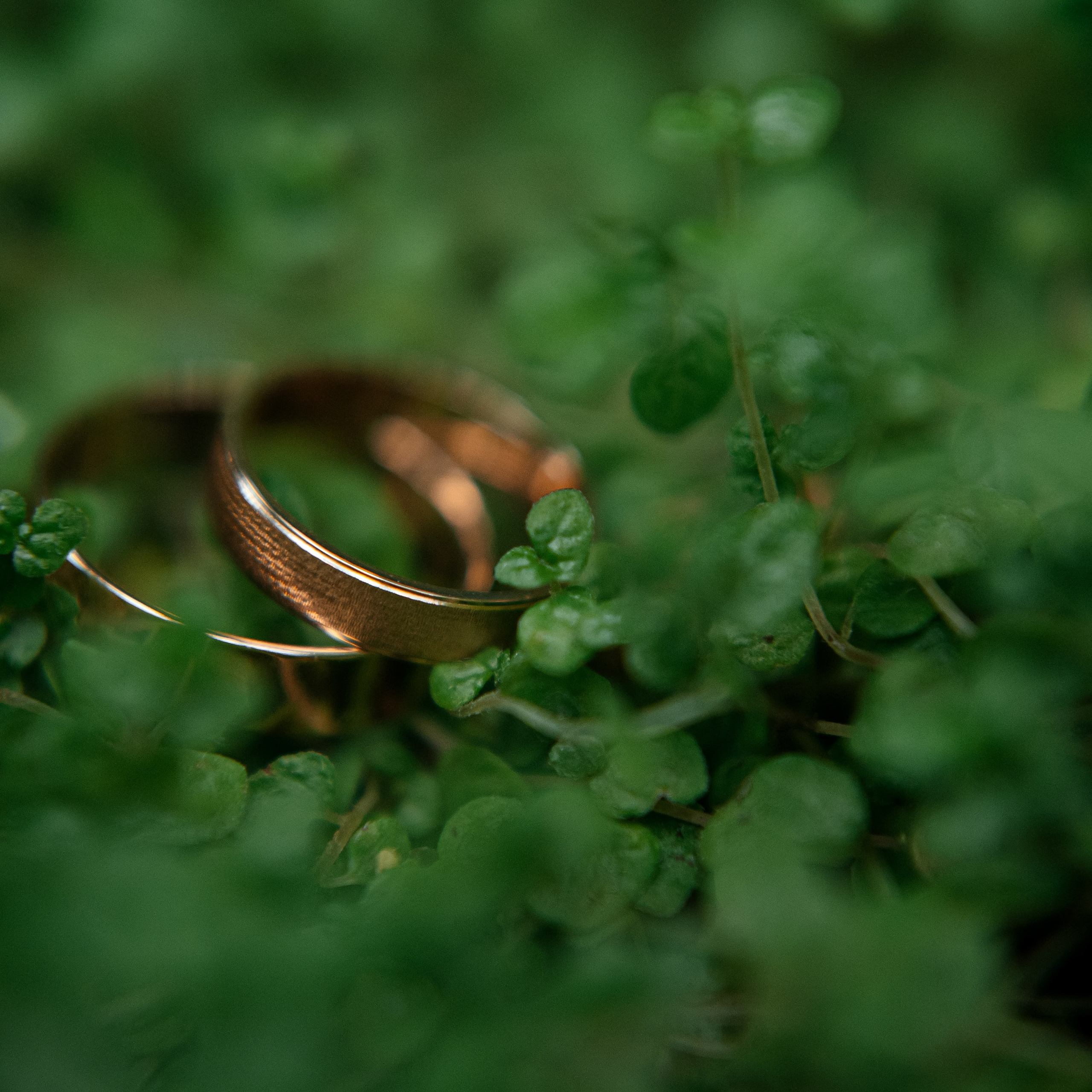 Свадьба в Москве. Места для фотосессии. Свадебный и семейный фотограф Виктория Носачёва. Щелково, Москва и МО