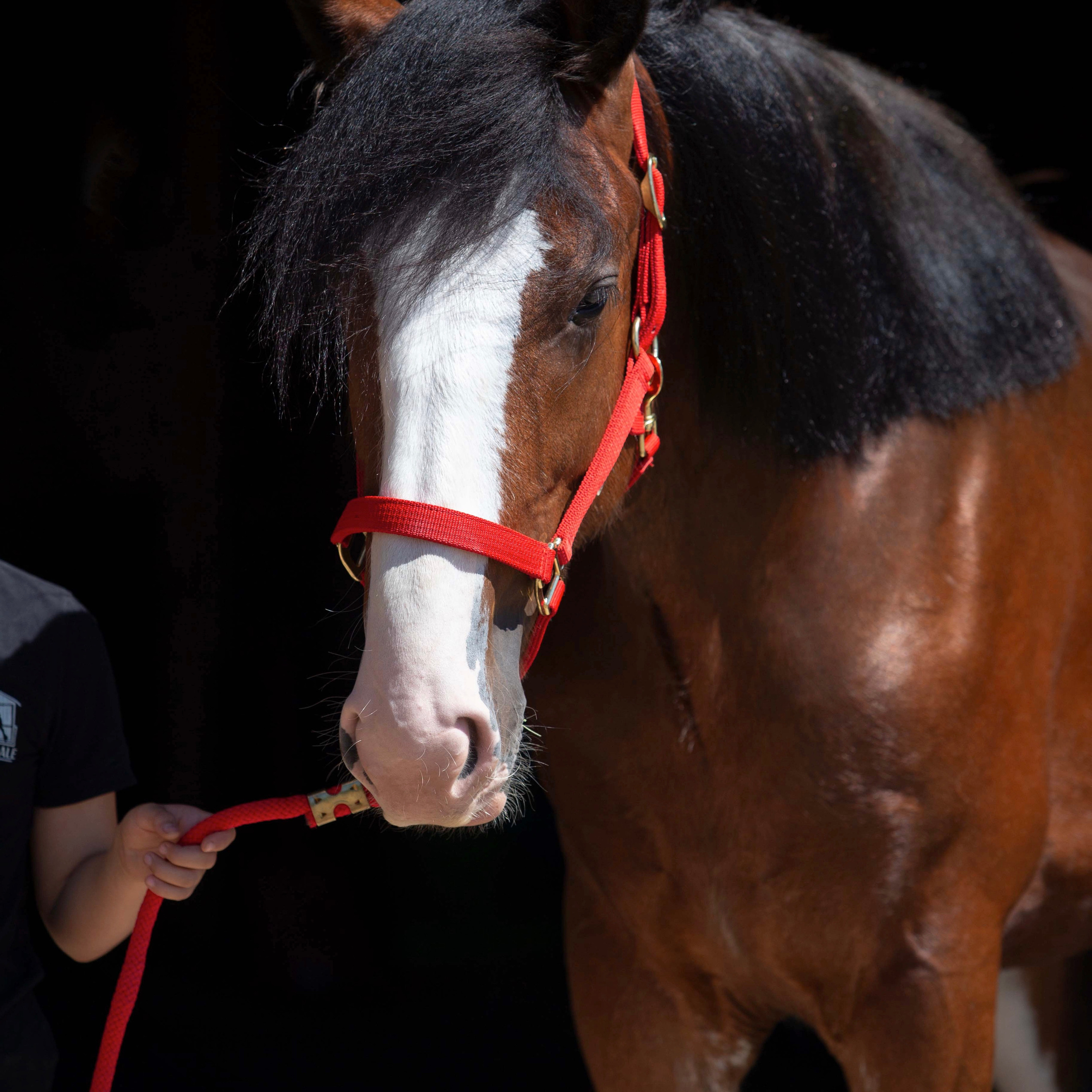 Towerview Blue Print