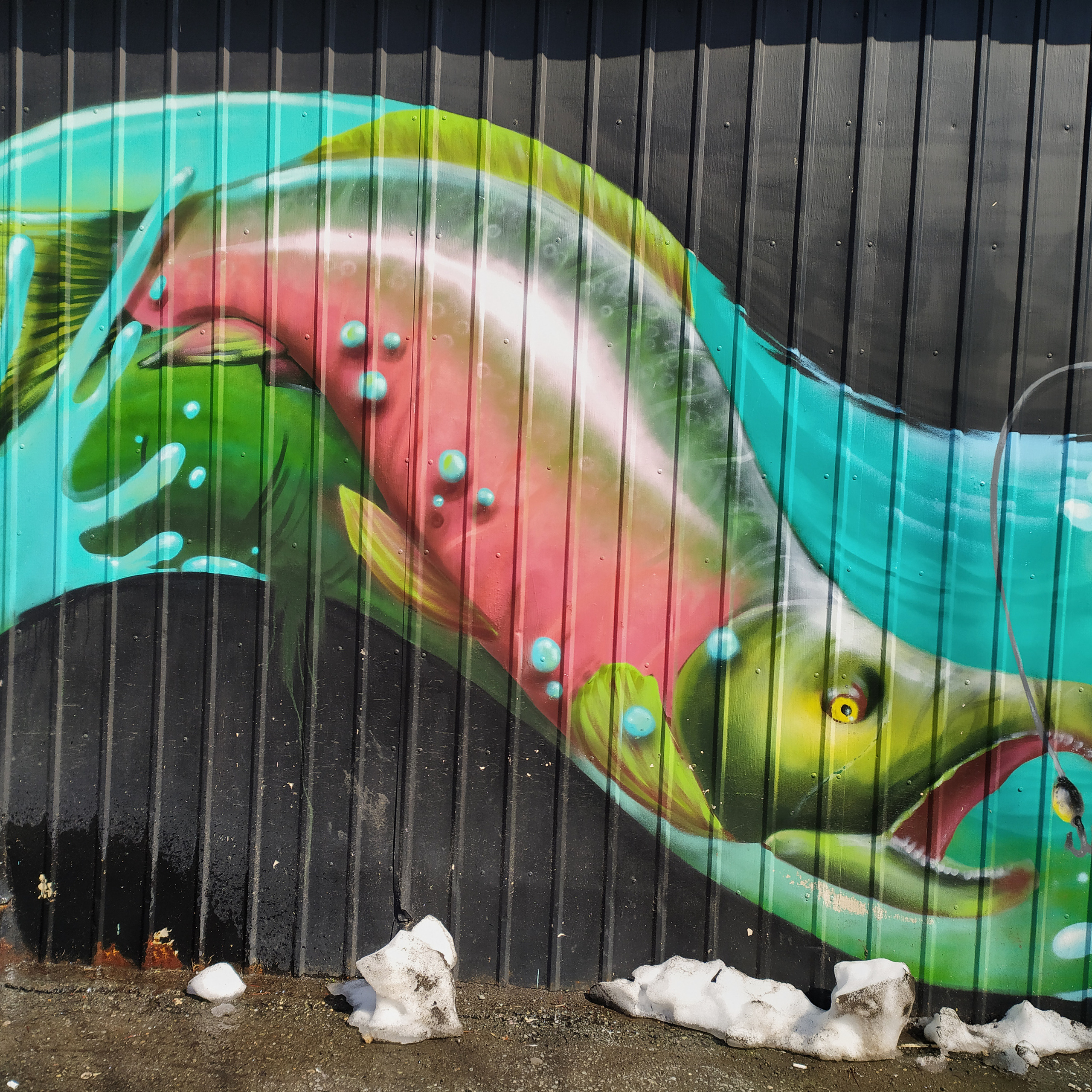 Камчатка. Айгуль Лотфуллина. #АйгульТВ. Фотограф в Адлере и Сочи, Красной Поляне