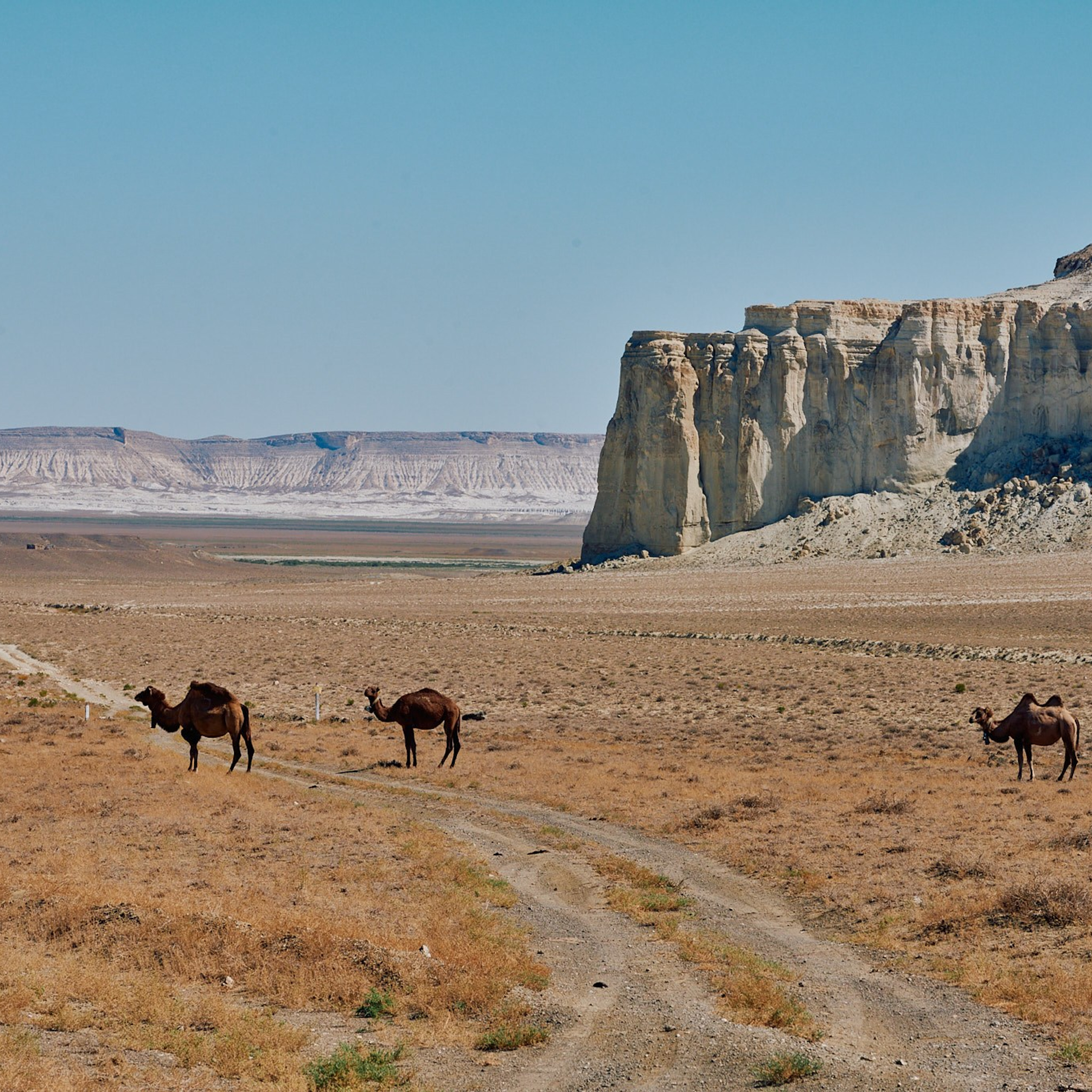 Казахстан 2023. Айгуль Лотфуллина. #АйгульТВ. Фотограф в Адлере и Сочи, Красной Поляне