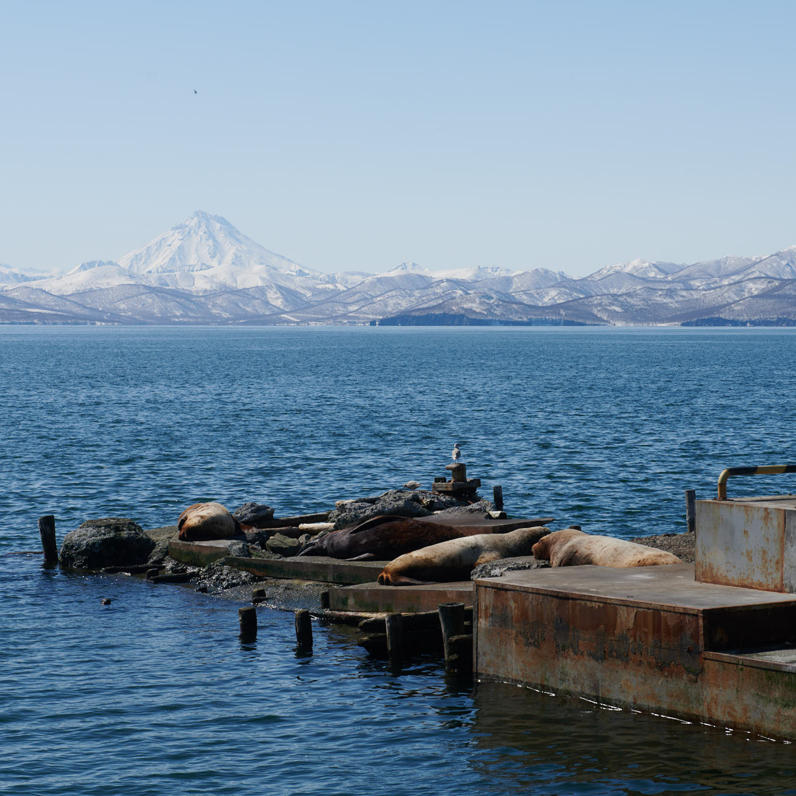 Камчатка. Айгуль Лотфуллина. #АйгульТВ. Фотограф в Адлере и Сочи, Красной Поляне