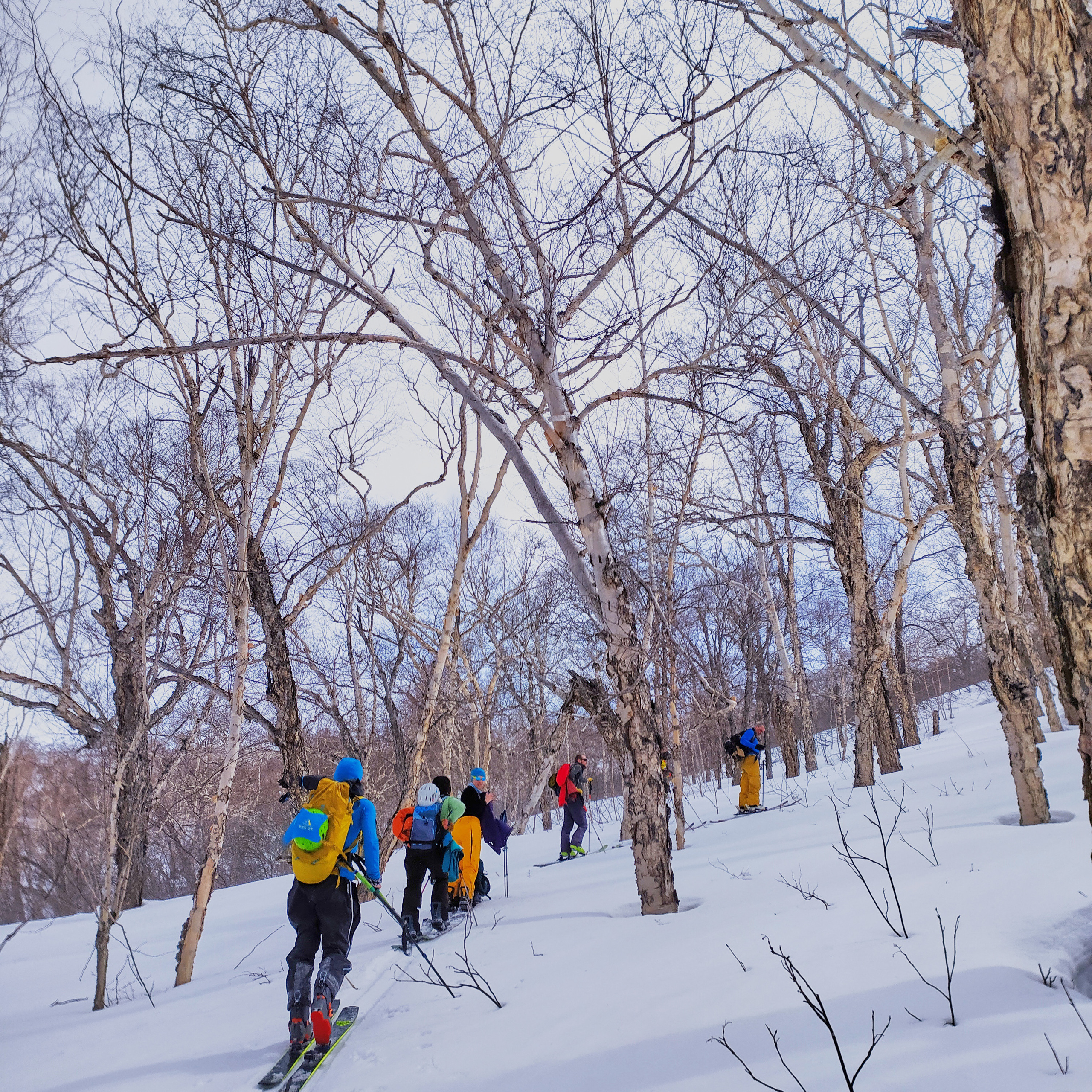 Камчатка. Айгуль Лотфуллина. #АйгульТВ. Фотограф в Адлере и Сочи, Красной Поляне