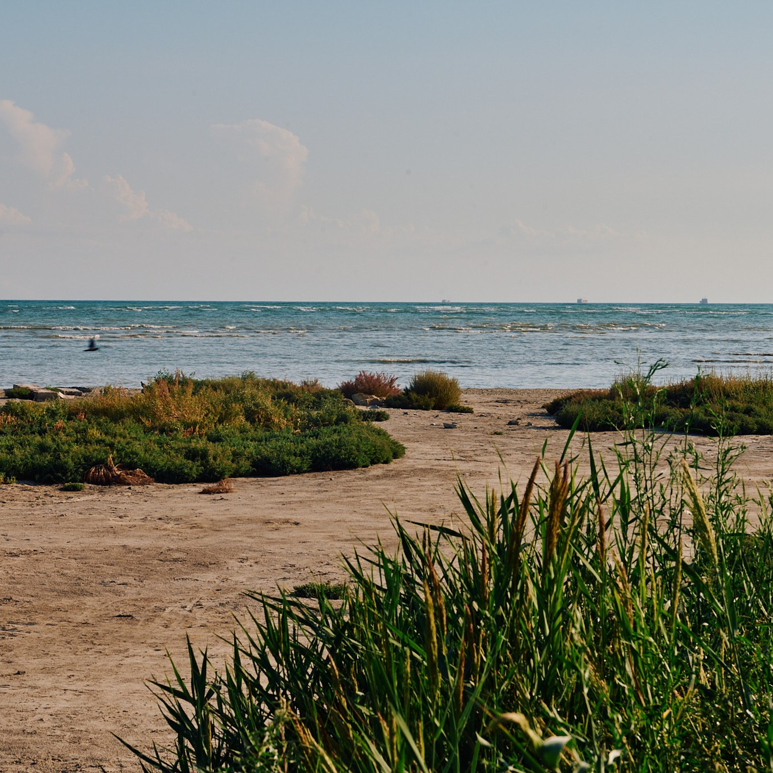 Казахстан 2023. Айгуль Лотфуллина. #АйгульТВ. Фотограф в Адлере и Сочи, Красной Поляне