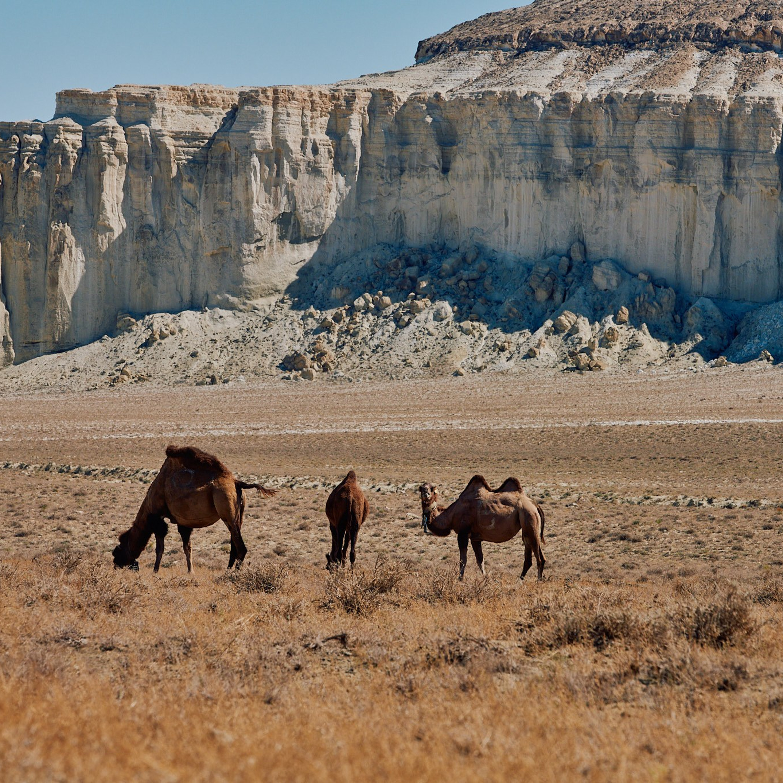 Казахстан 2023. Айгуль Лотфуллина. #АйгульТВ. Фотограф в Адлере и Сочи, Красной Поляне