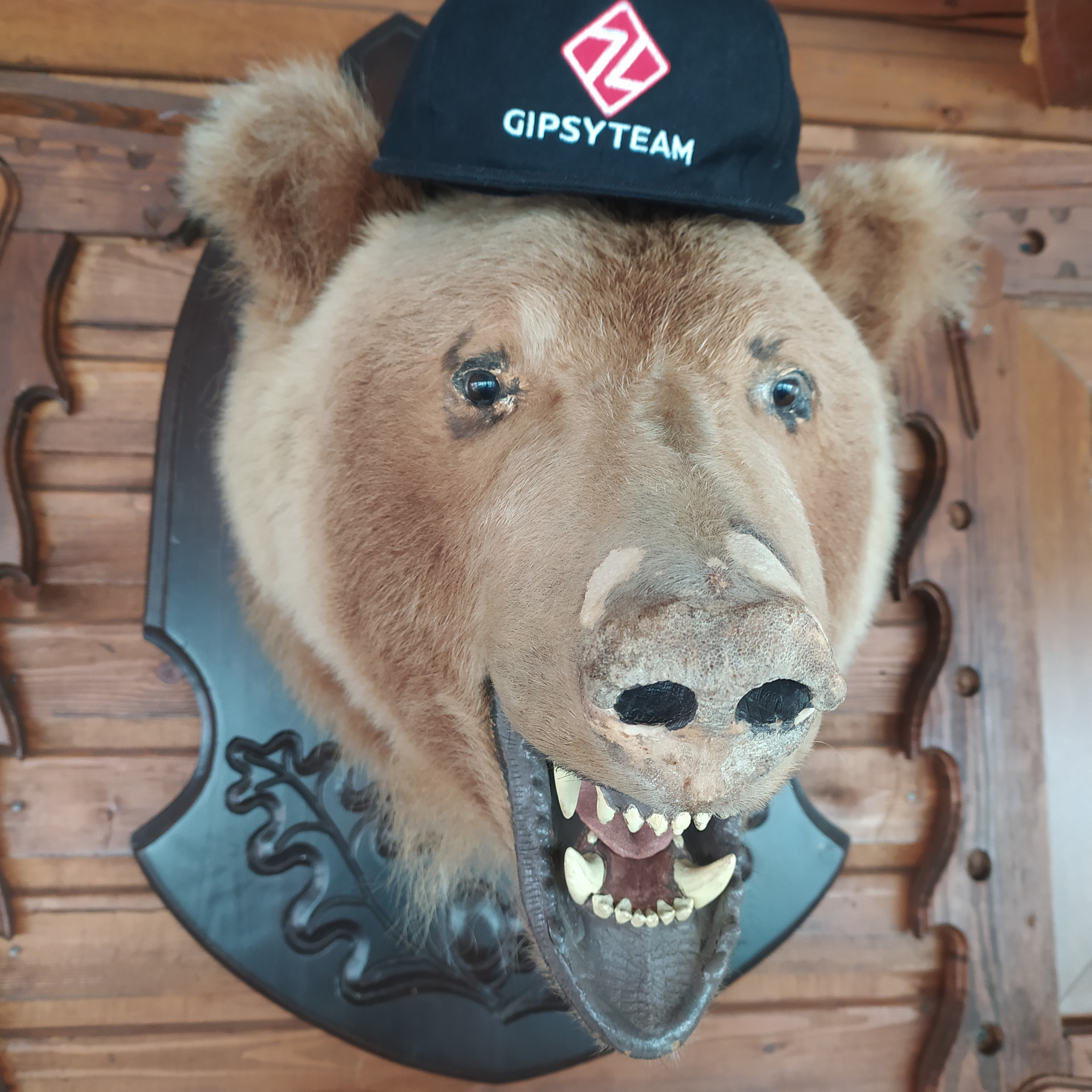 Камчатка. Айгуль Лотфуллина. #АйгульТВ. Фотограф в Адлере и Сочи, Красной Поляне