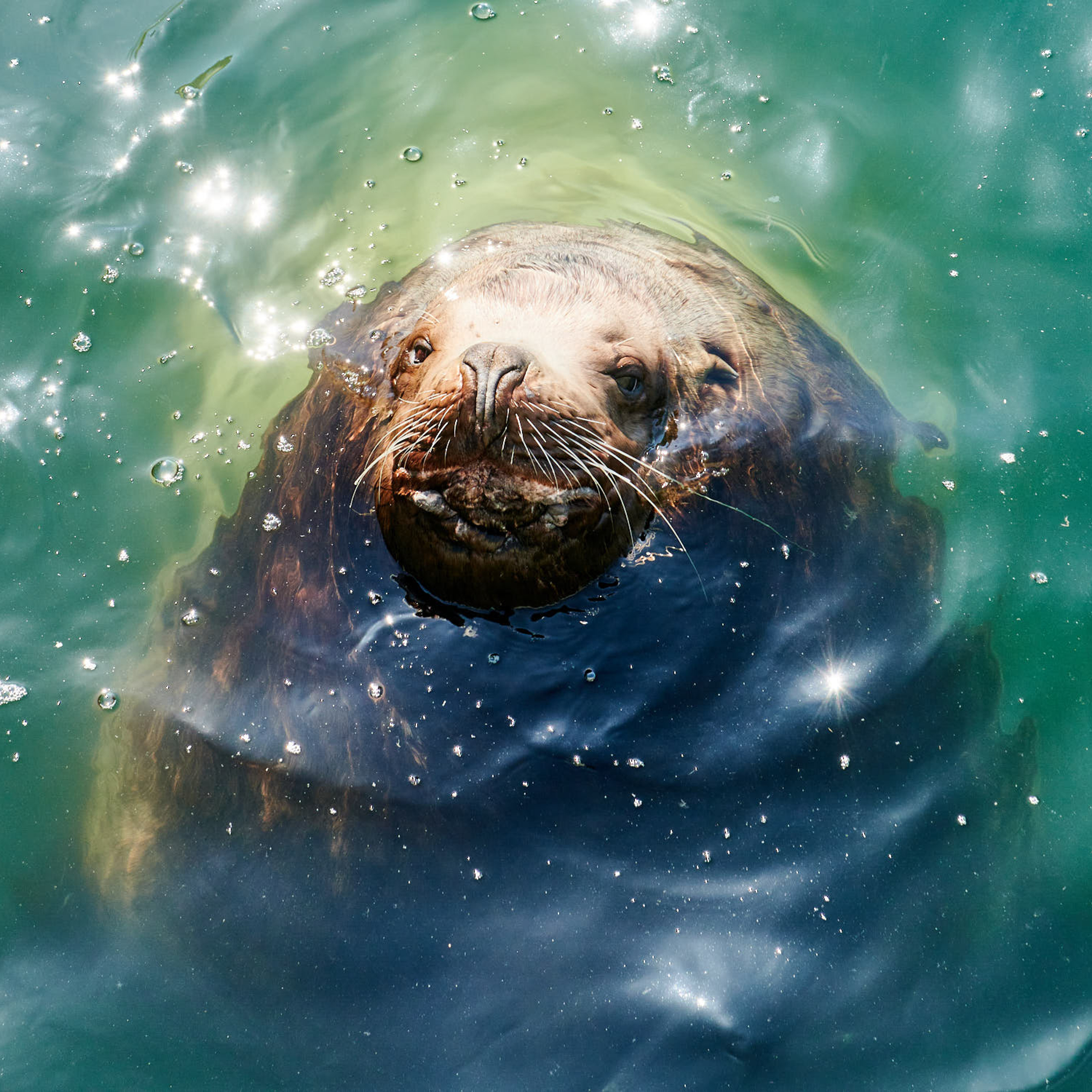 Камчатка. Айгуль Лотфуллина. #АйгульТВ. Фотограф в Адлере и Сочи, Красной Поляне