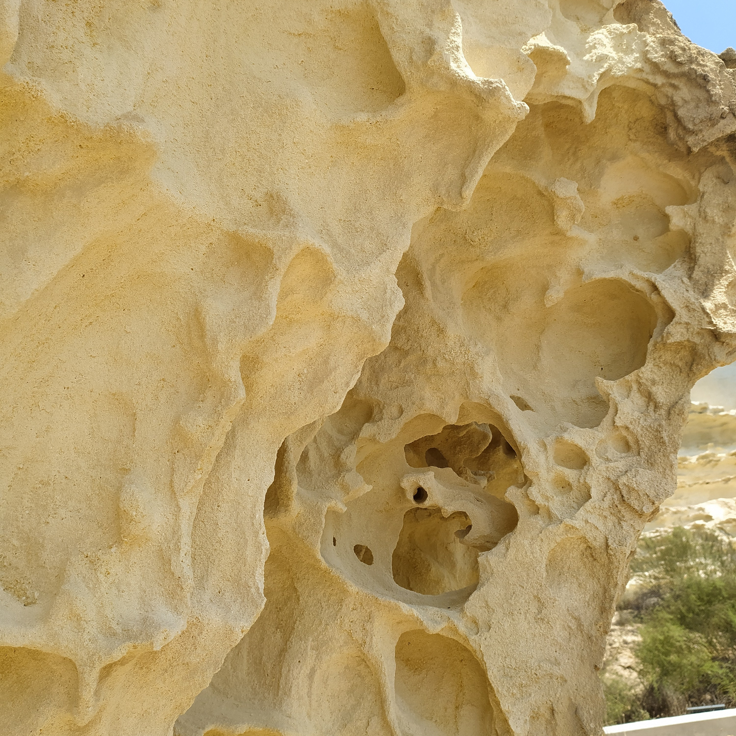 Казахстан 2023. Айгуль Лотфуллина. #АйгульТВ. Фотограф в Адлере и Сочи, Красной Поляне