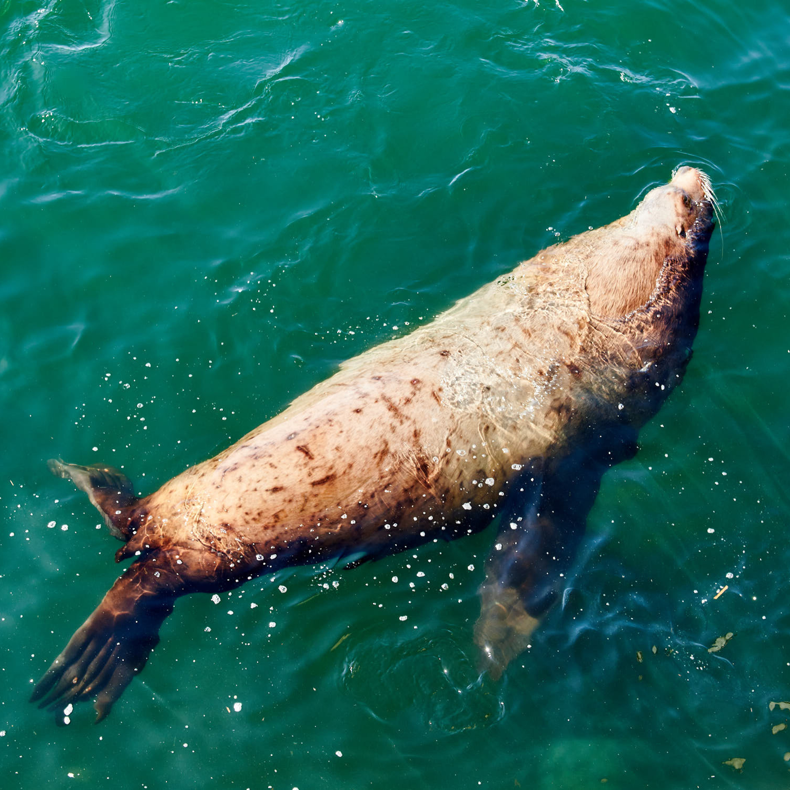 Камчатка. Айгуль Лотфуллина. #АйгульТВ. Фотограф в Адлере и Сочи, Красной Поляне