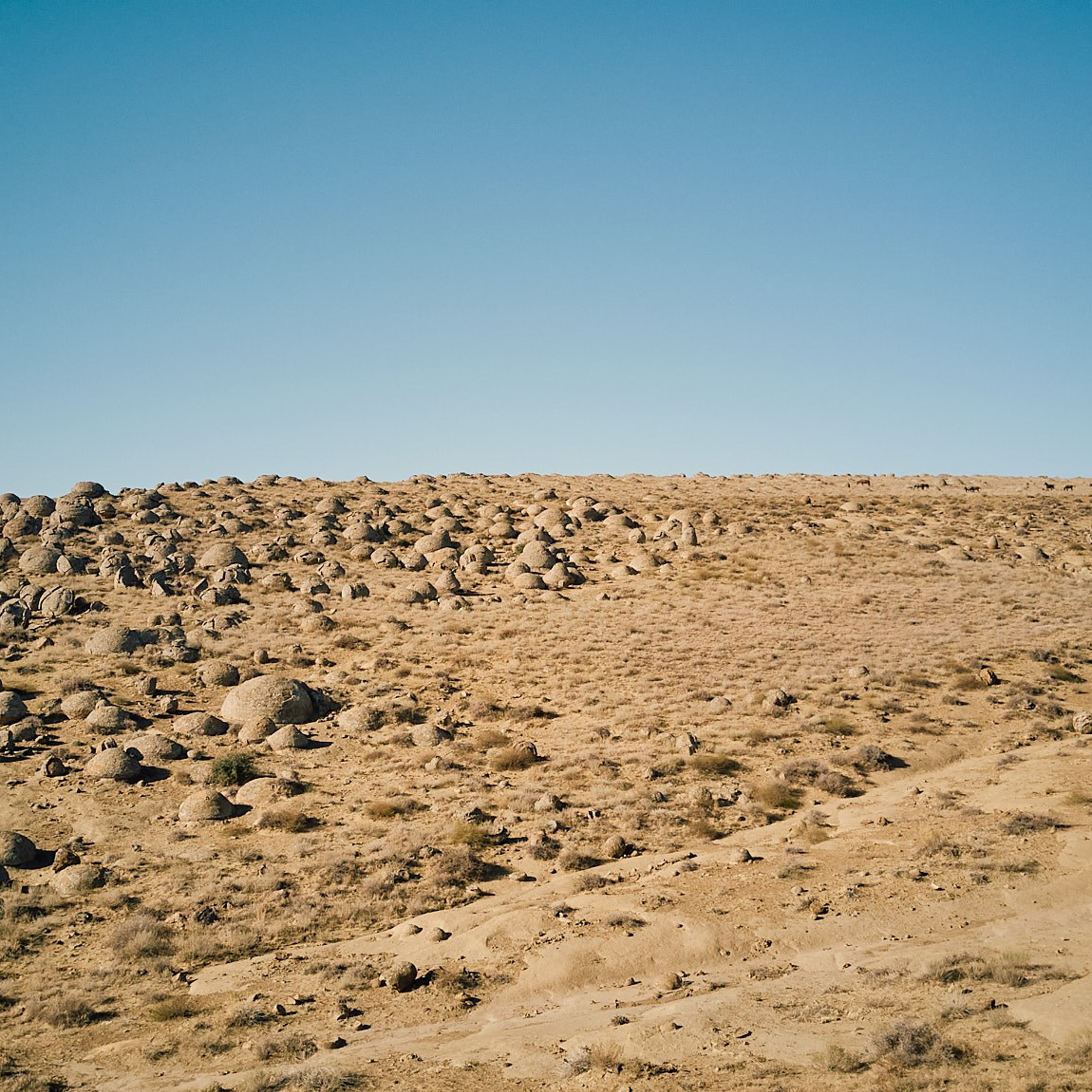 Казахстан 2023. Айгуль Лотфуллина. #АйгульТВ. Фотограф в Адлере и Сочи, Красной Поляне