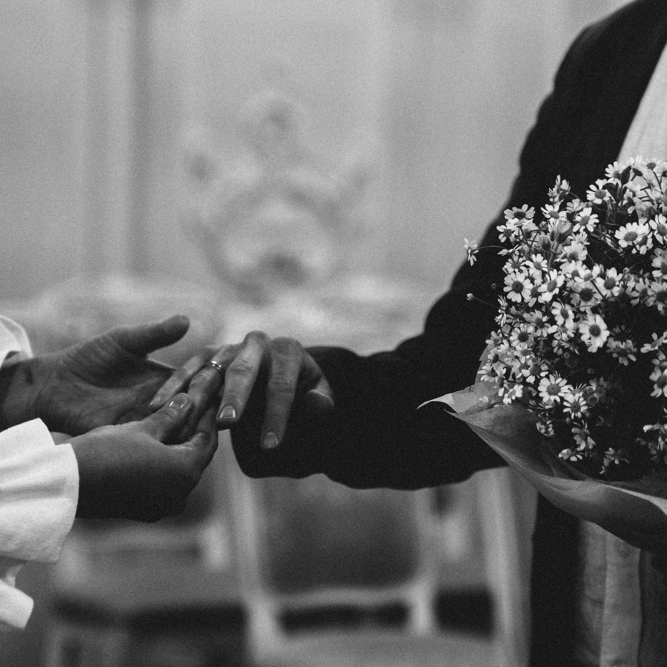 Стоимость свадебной фотосессии. Миша Снимет | твой фотограф