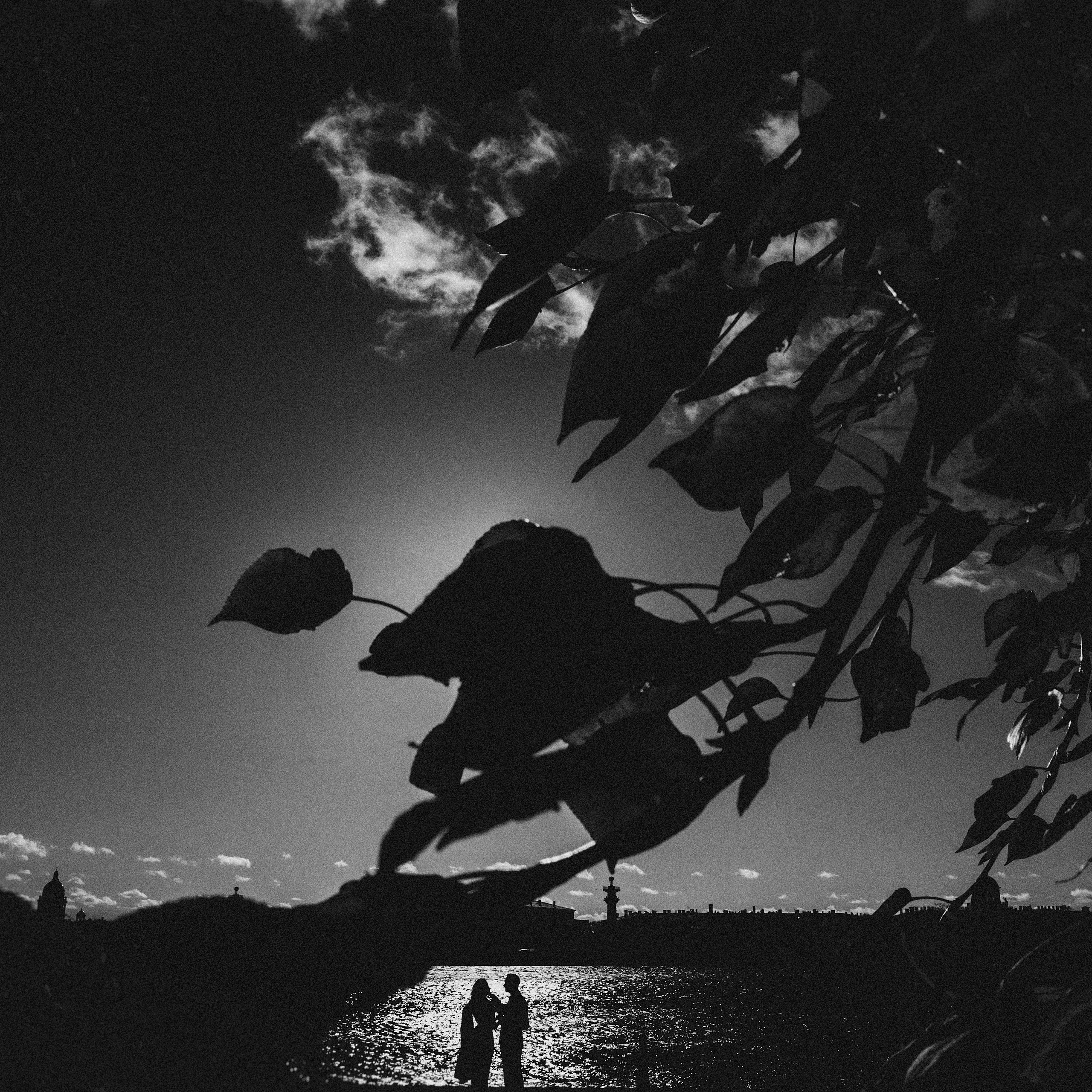 Стоимость свадебной фотосессии. Миша Снимет | твой фотограф