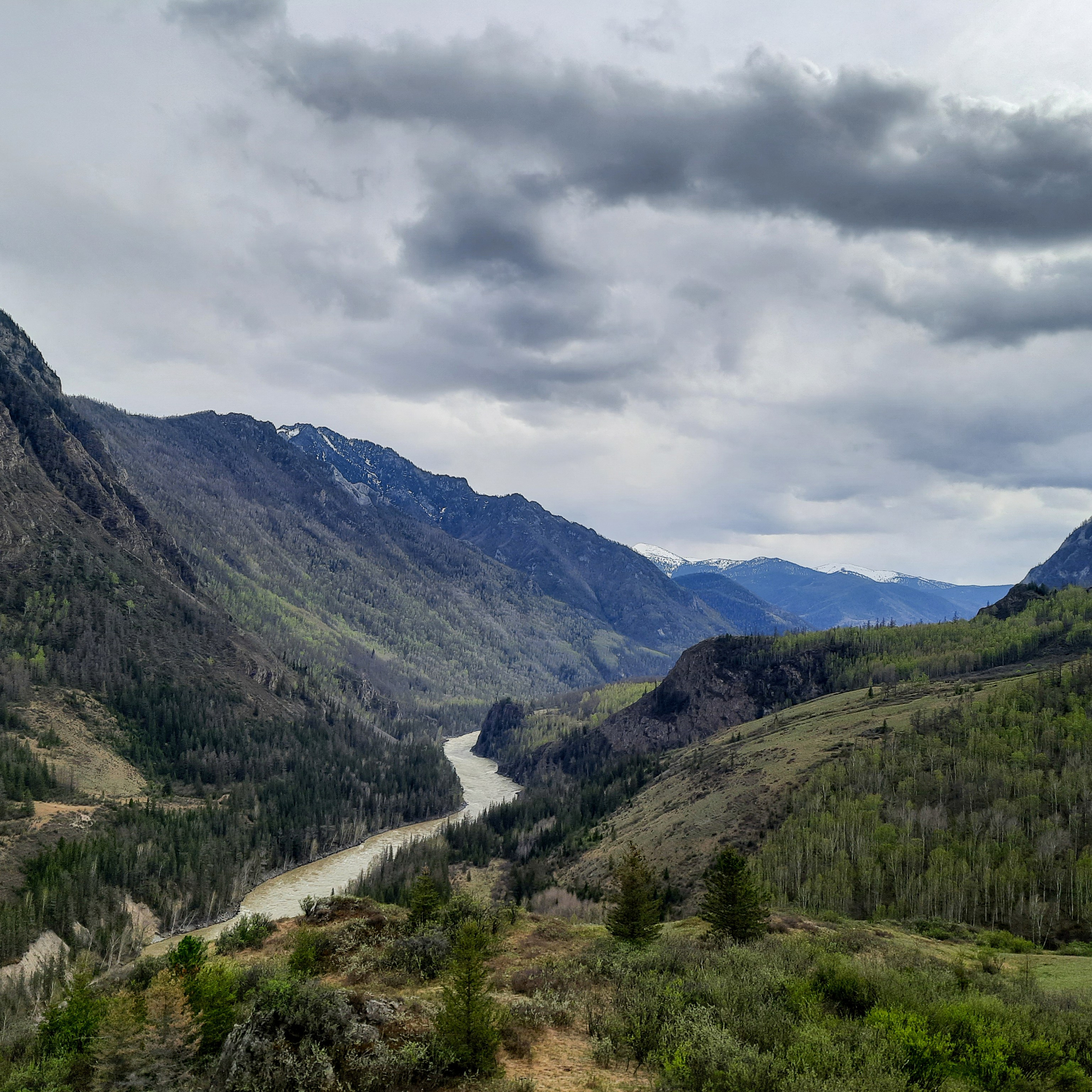 Как Генка Большой вёз Хагги Вагги на Тюнгурскую тропу. Gennady Travel