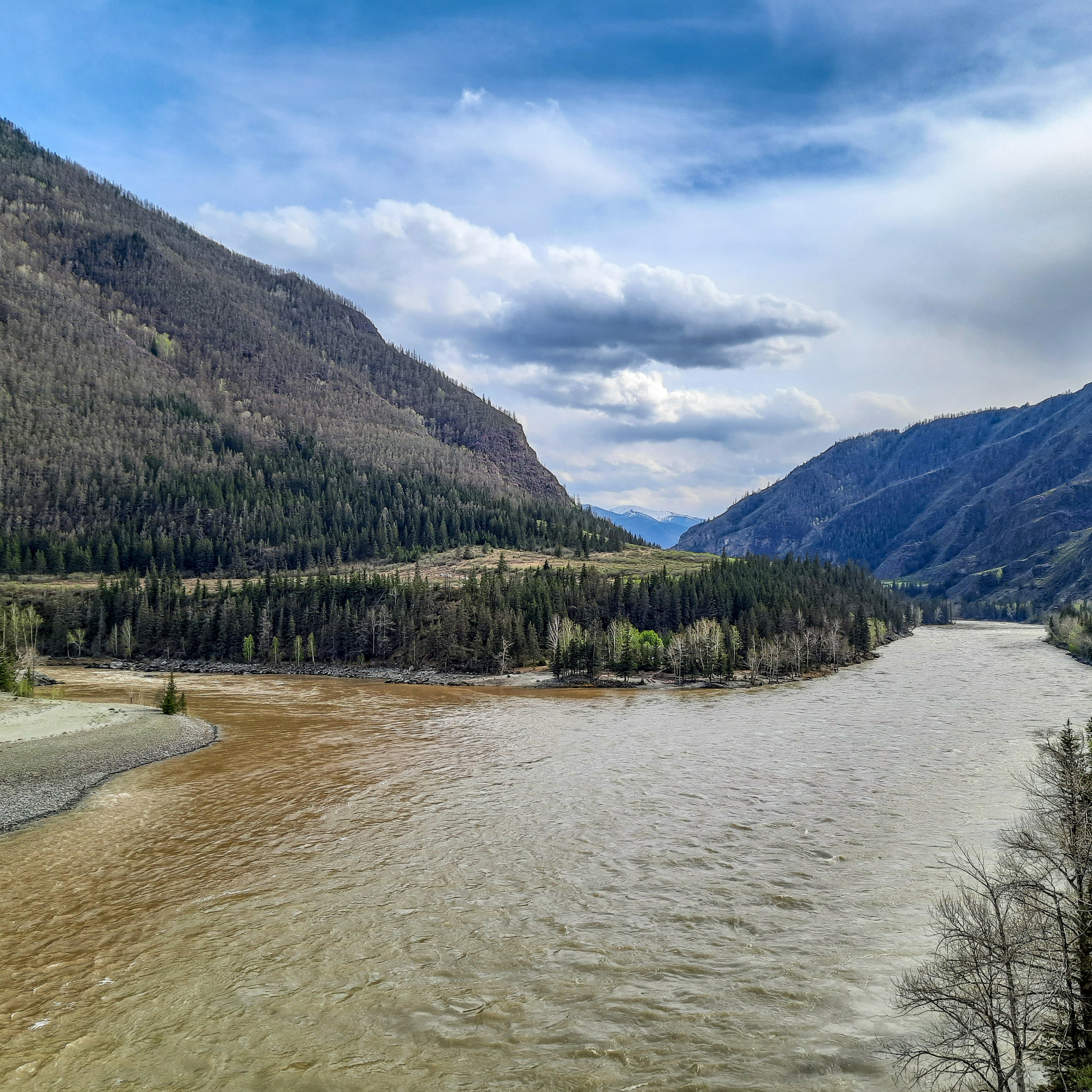 Как Генка Большой вёз Хагги Вагги на Тюнгурскую тропу. Gennady Travel