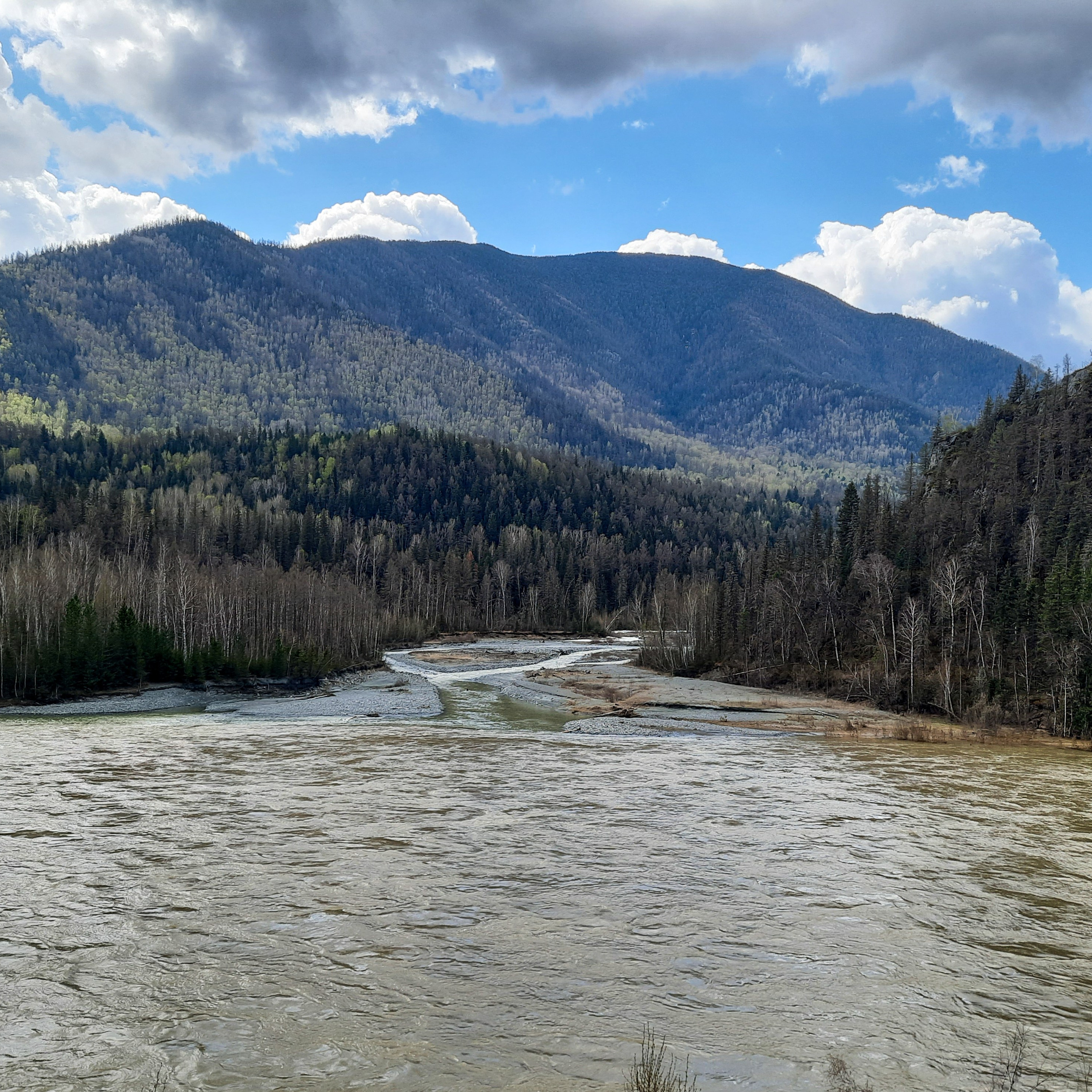 Как Генка Большой вёз Хагги Вагги на Тюнгурскую тропу. Gennady Travel