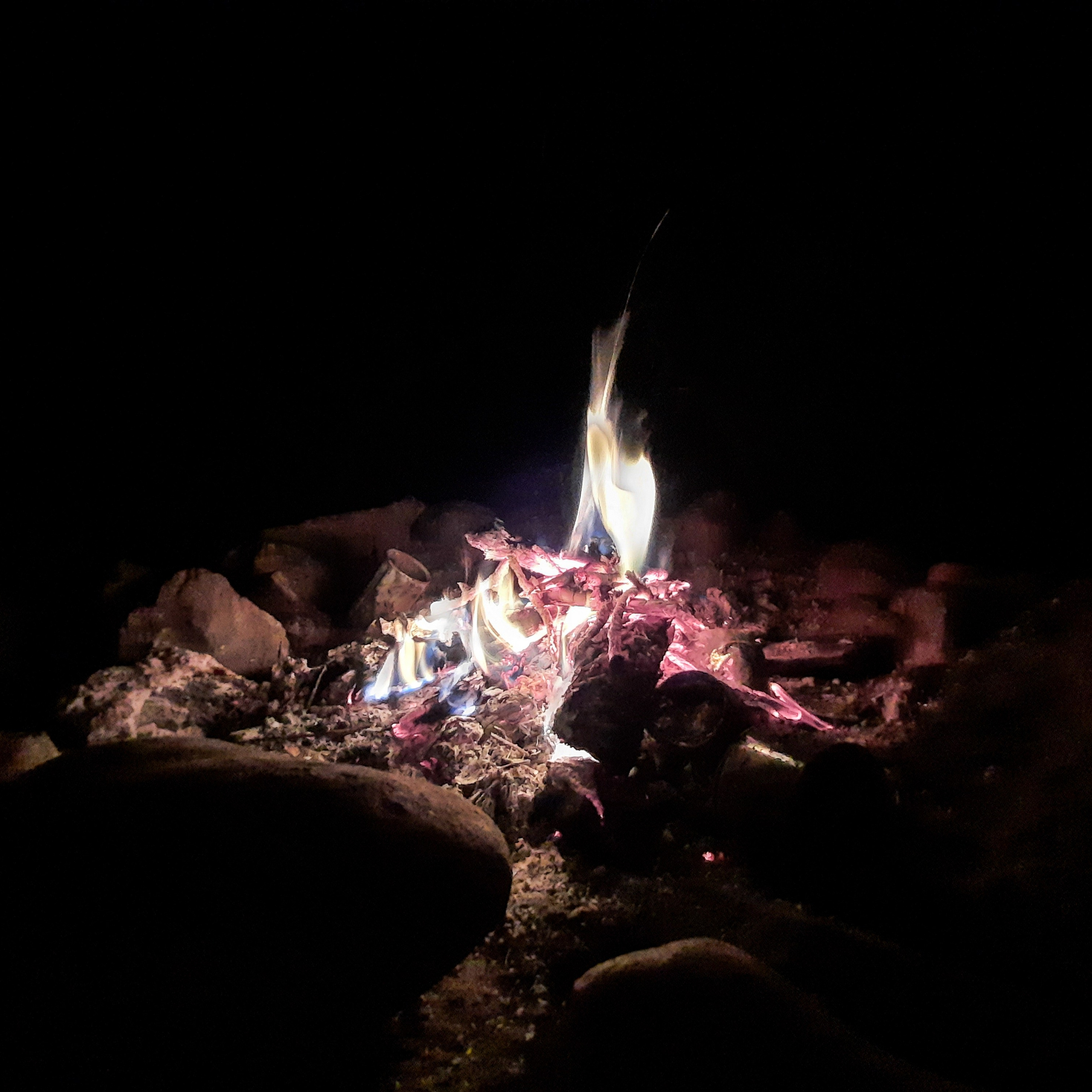 Как Генка Большой вёз Хагги Вагги на Тюнгурскую тропу. Gennady Travel