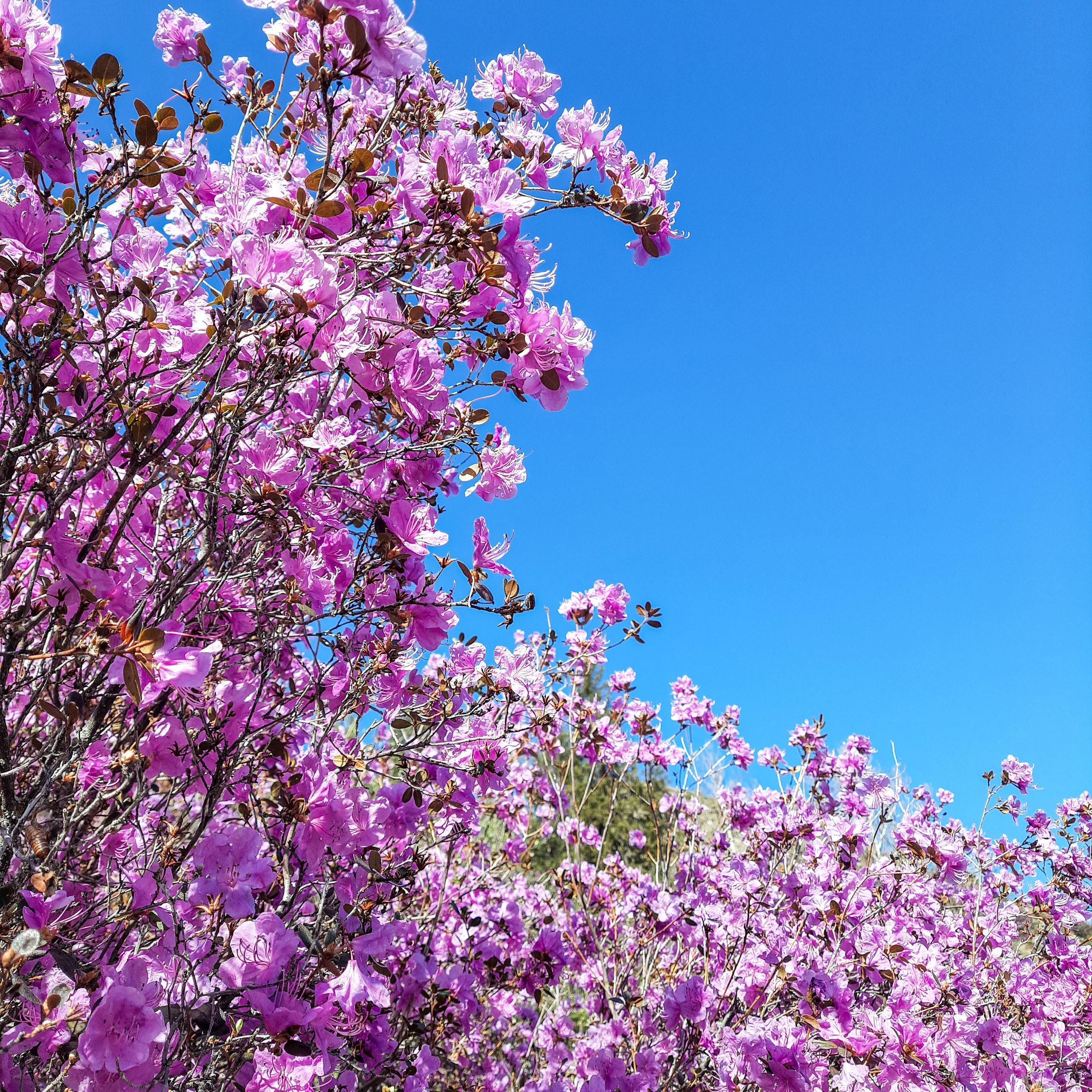 Как Генка Большой вёз Хагги Вагги на Тюнгурскую тропу. Gennady Travel