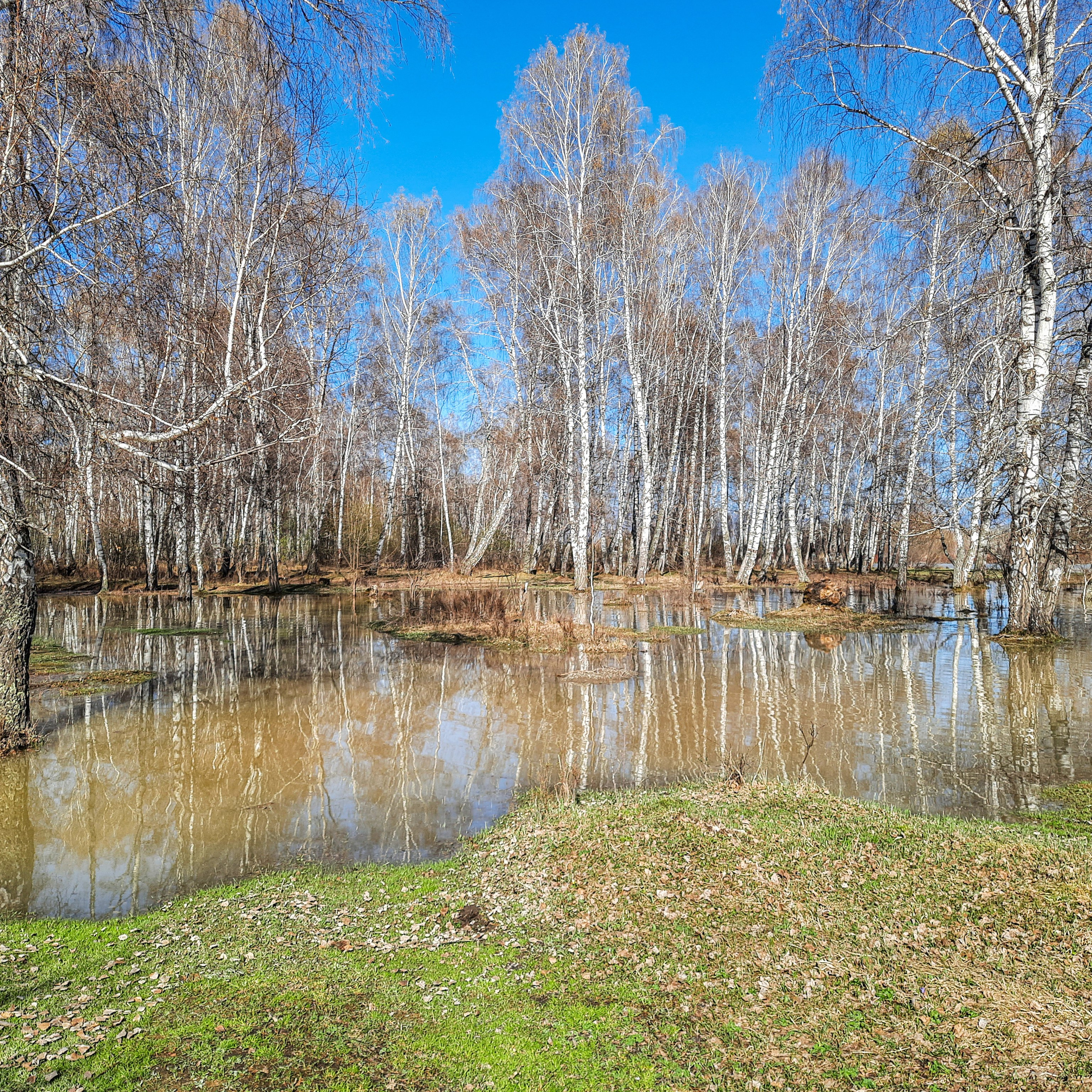 Как Генка Большой вёз Хагги Вагги на Тюнгурскую тропу. Gennady Travel