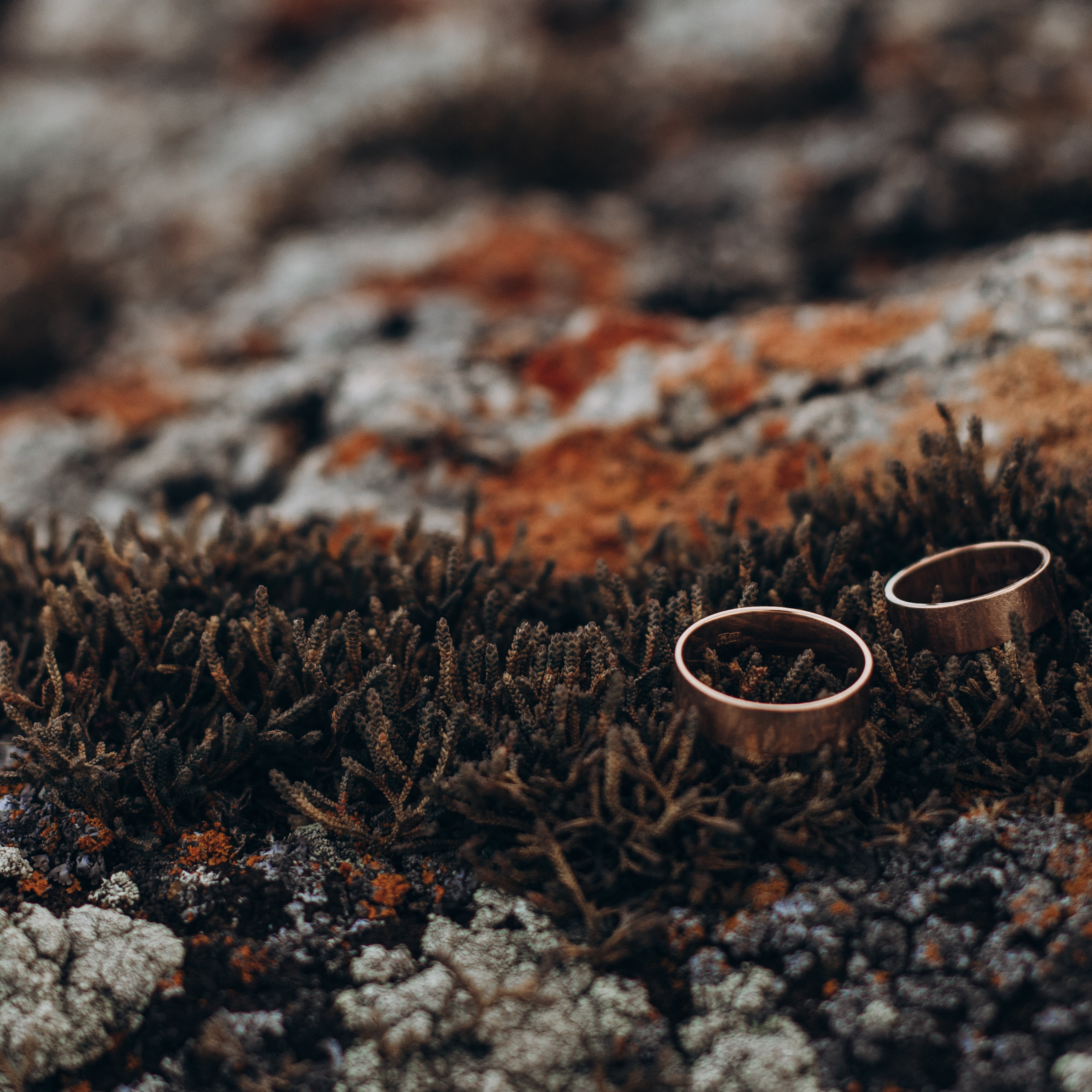 ВЫЕЗДНАЯ СЪЕМКА