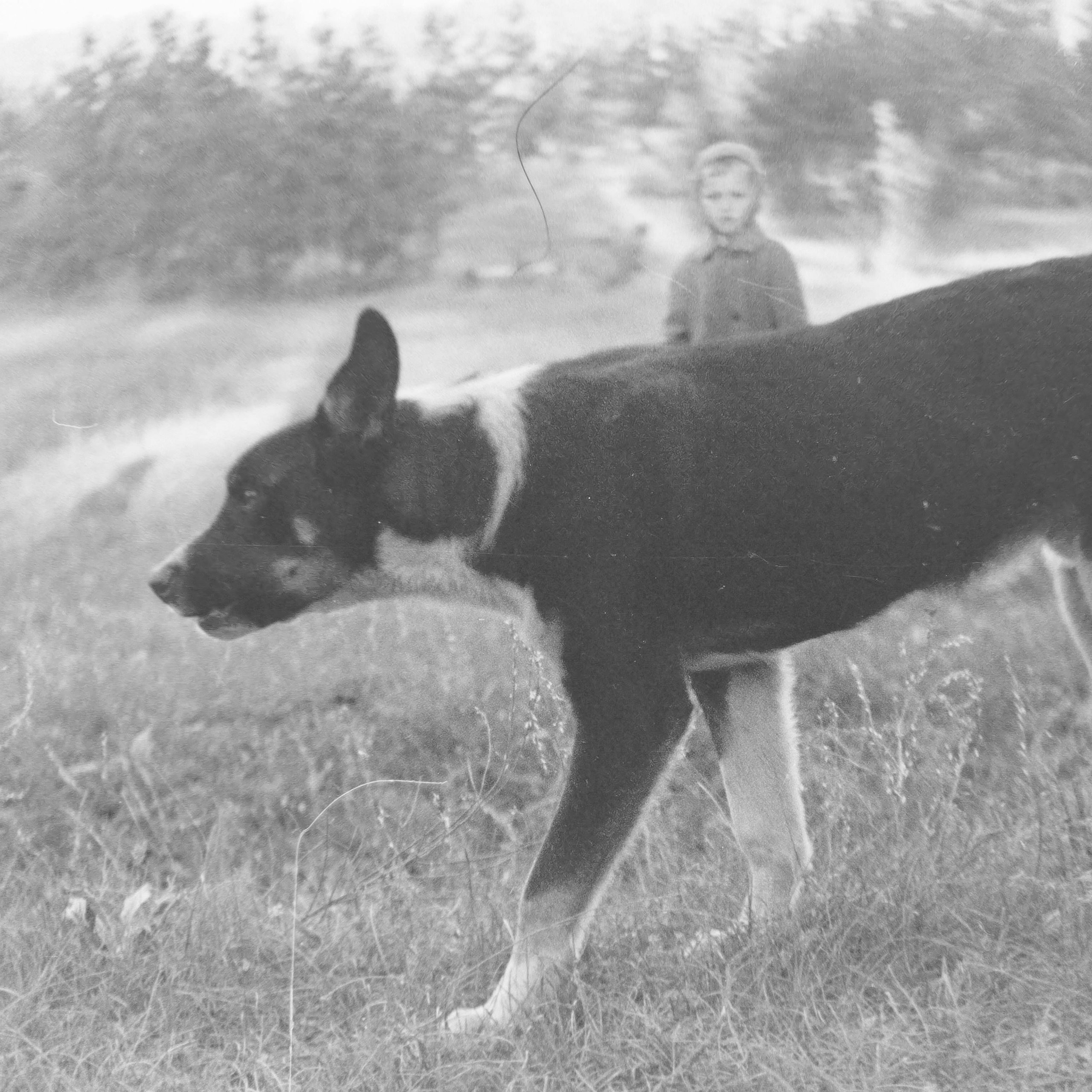 Фотоархив Кудашова Василия. Кудашов Григорий — Фотограф в Самаре и области
