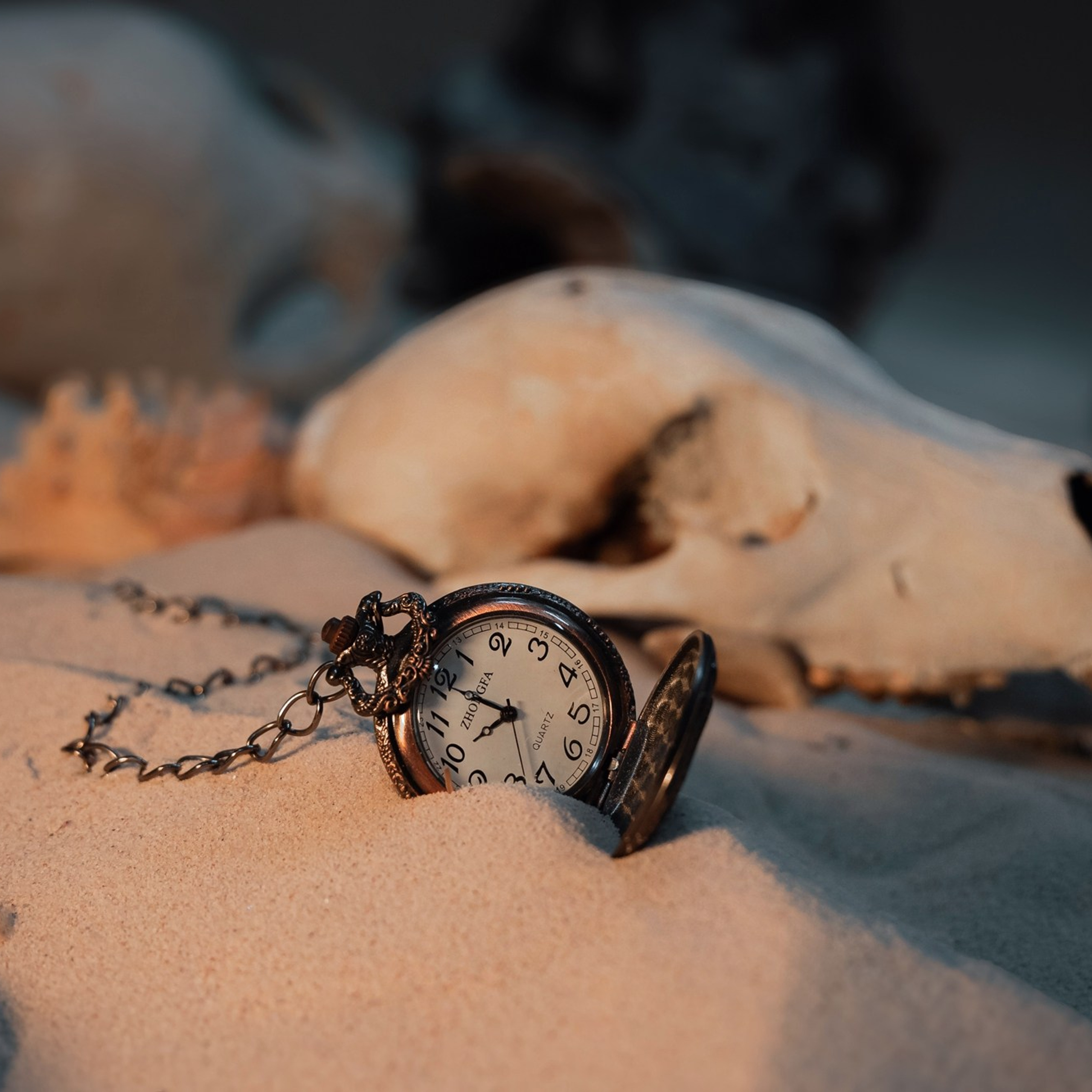 Философия времени. Фотограф_Петербург