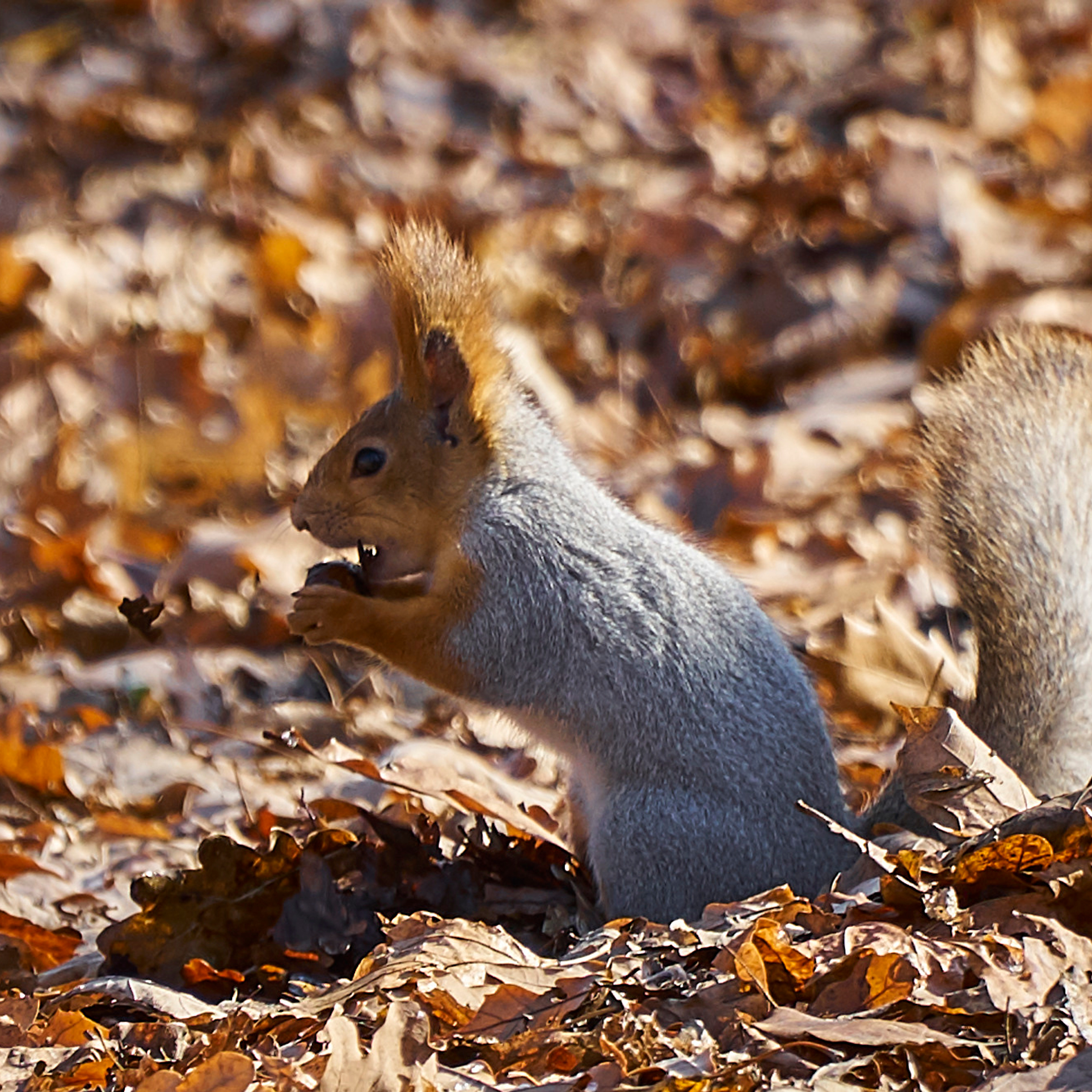Удивительное рядом