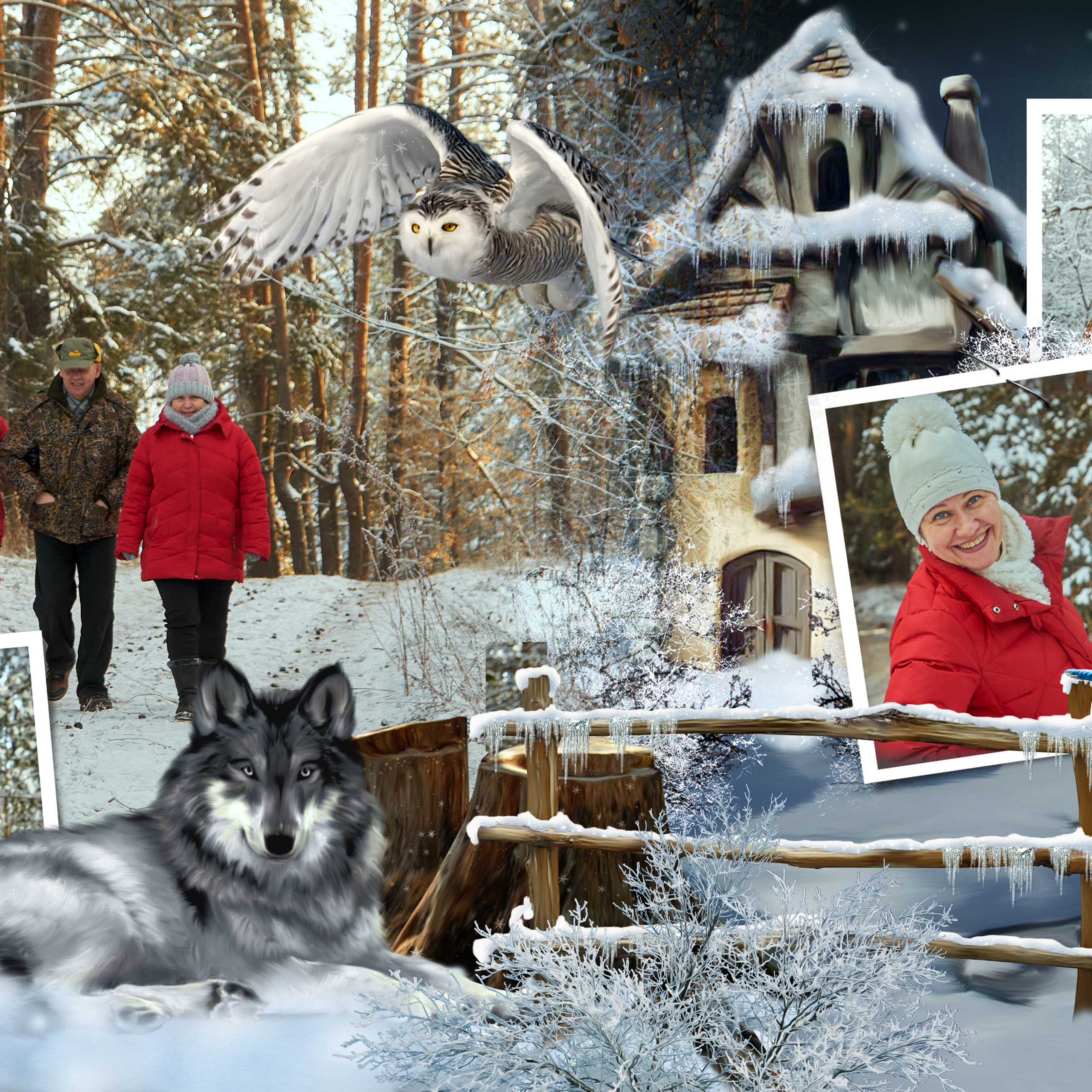 Зимний лес.