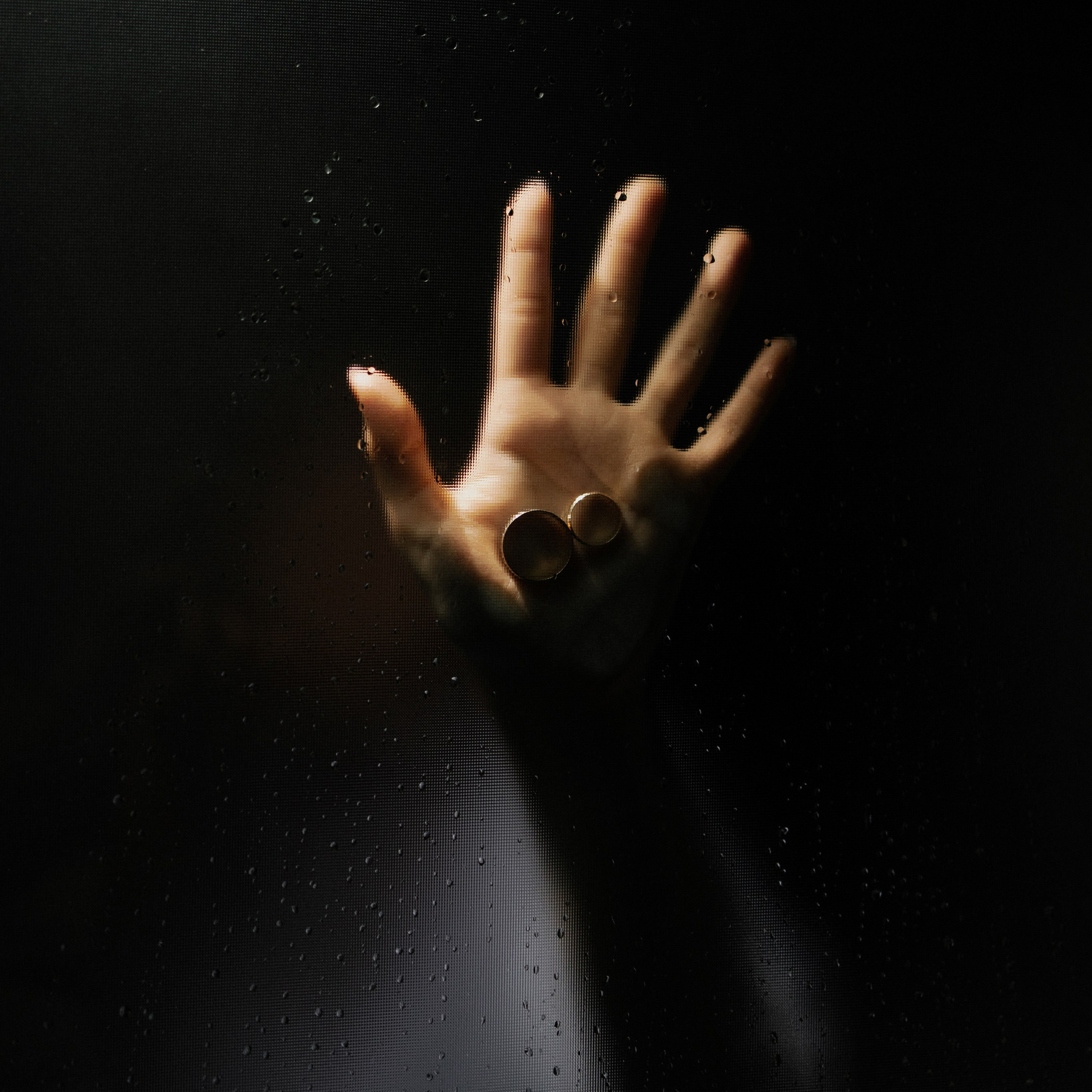 и в конце вечера мы выпили шампанское за наш день