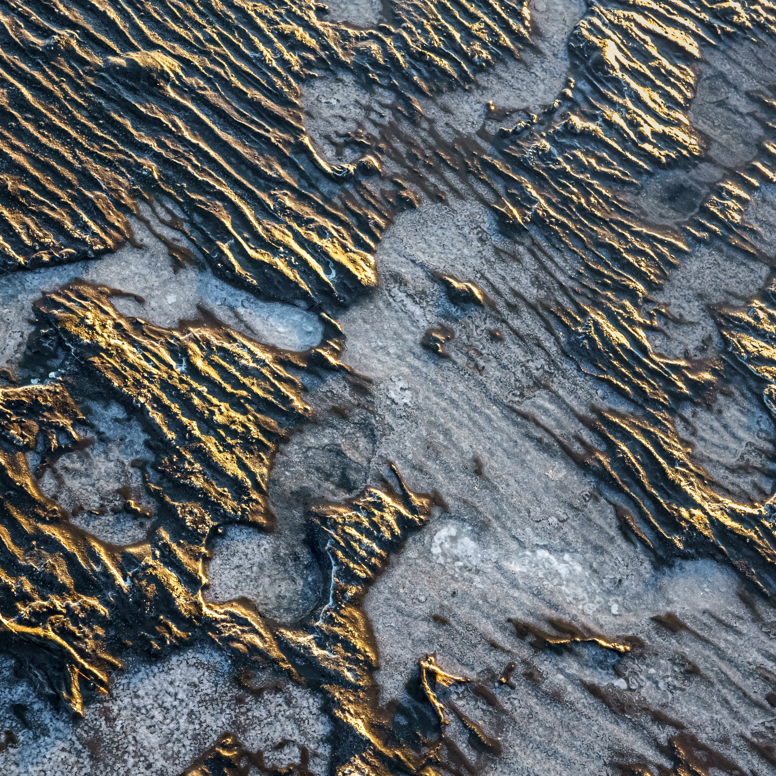 Эльтон: весенний пролет птиц