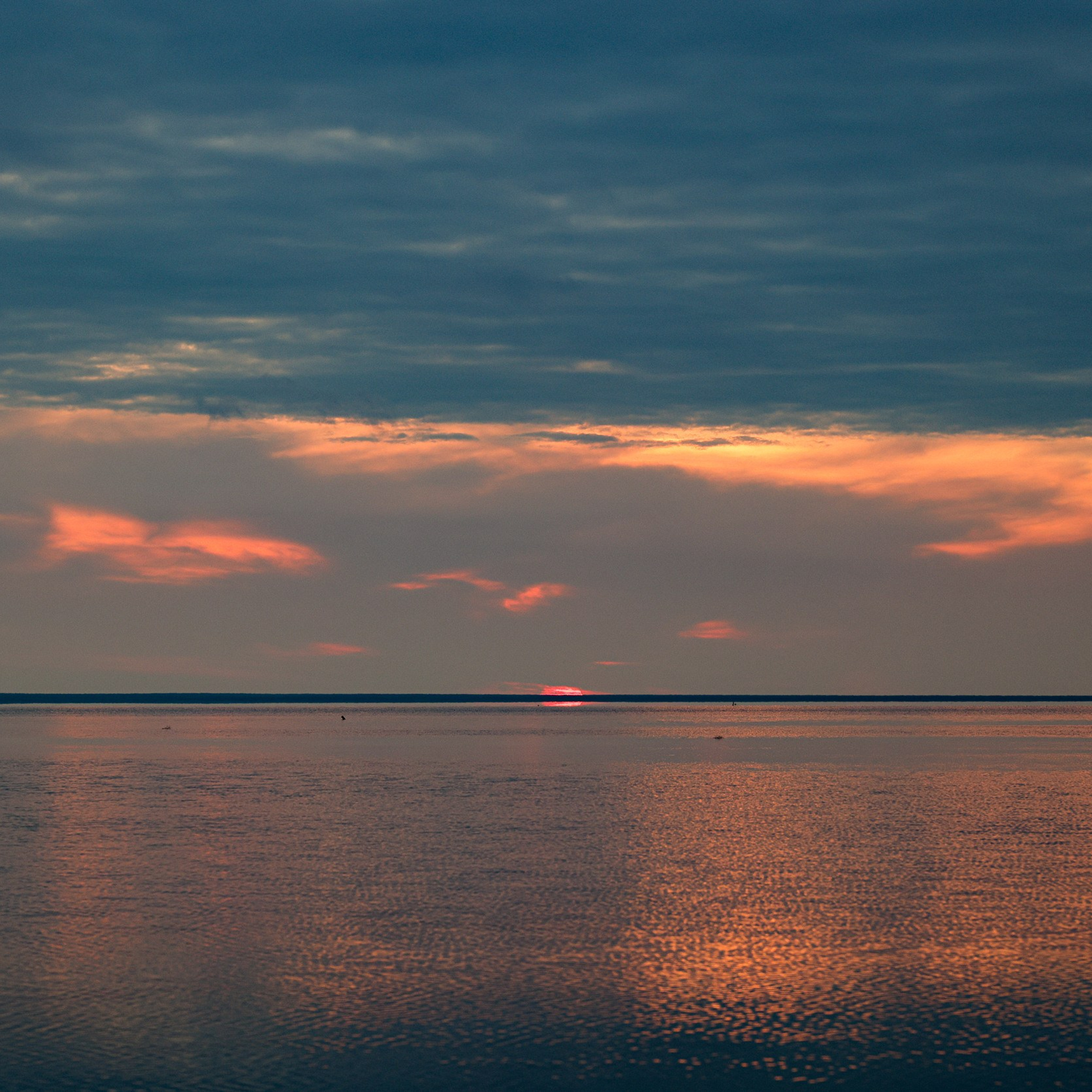 Эльтон: весенний пролет птиц