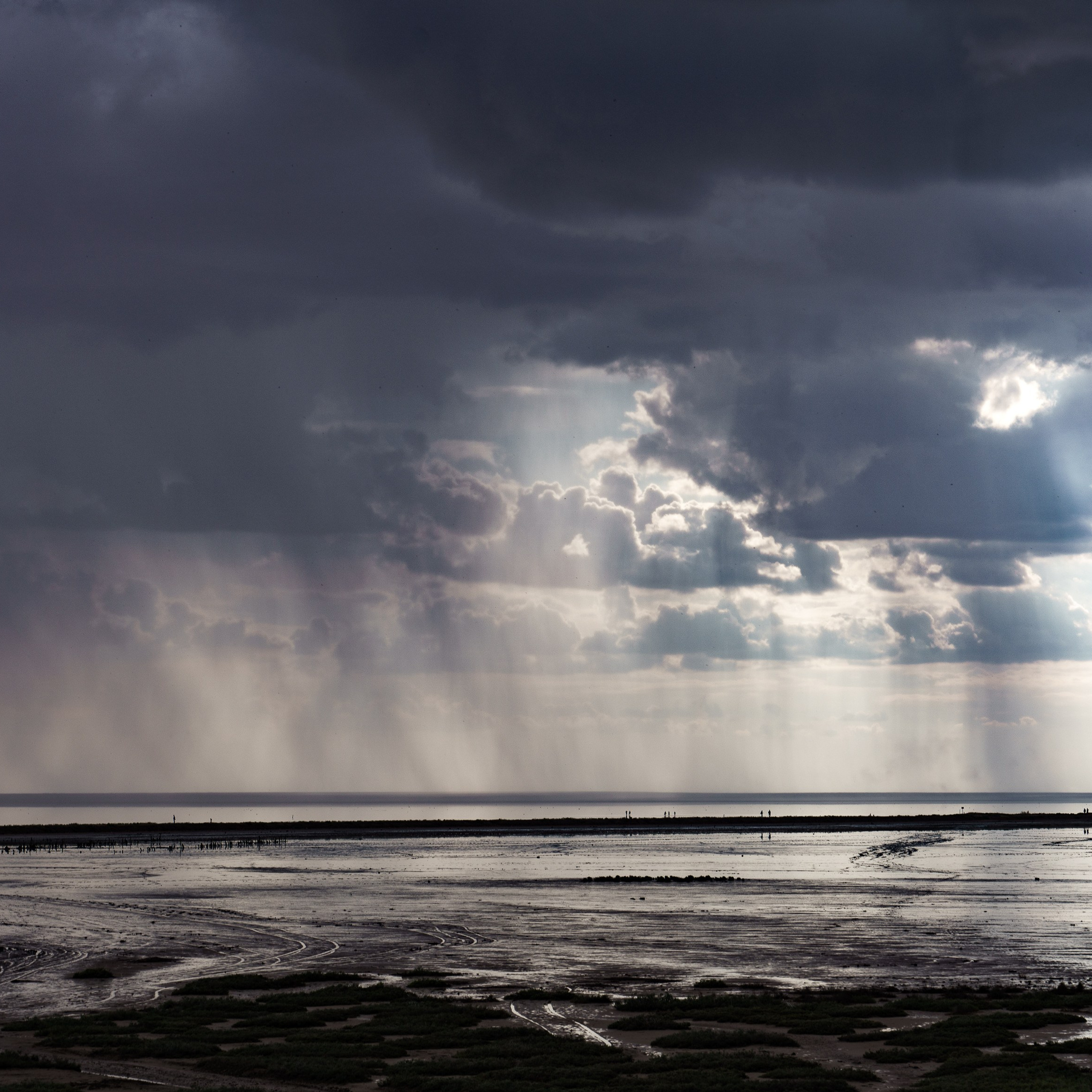 Эльтон: весенний пролет птиц