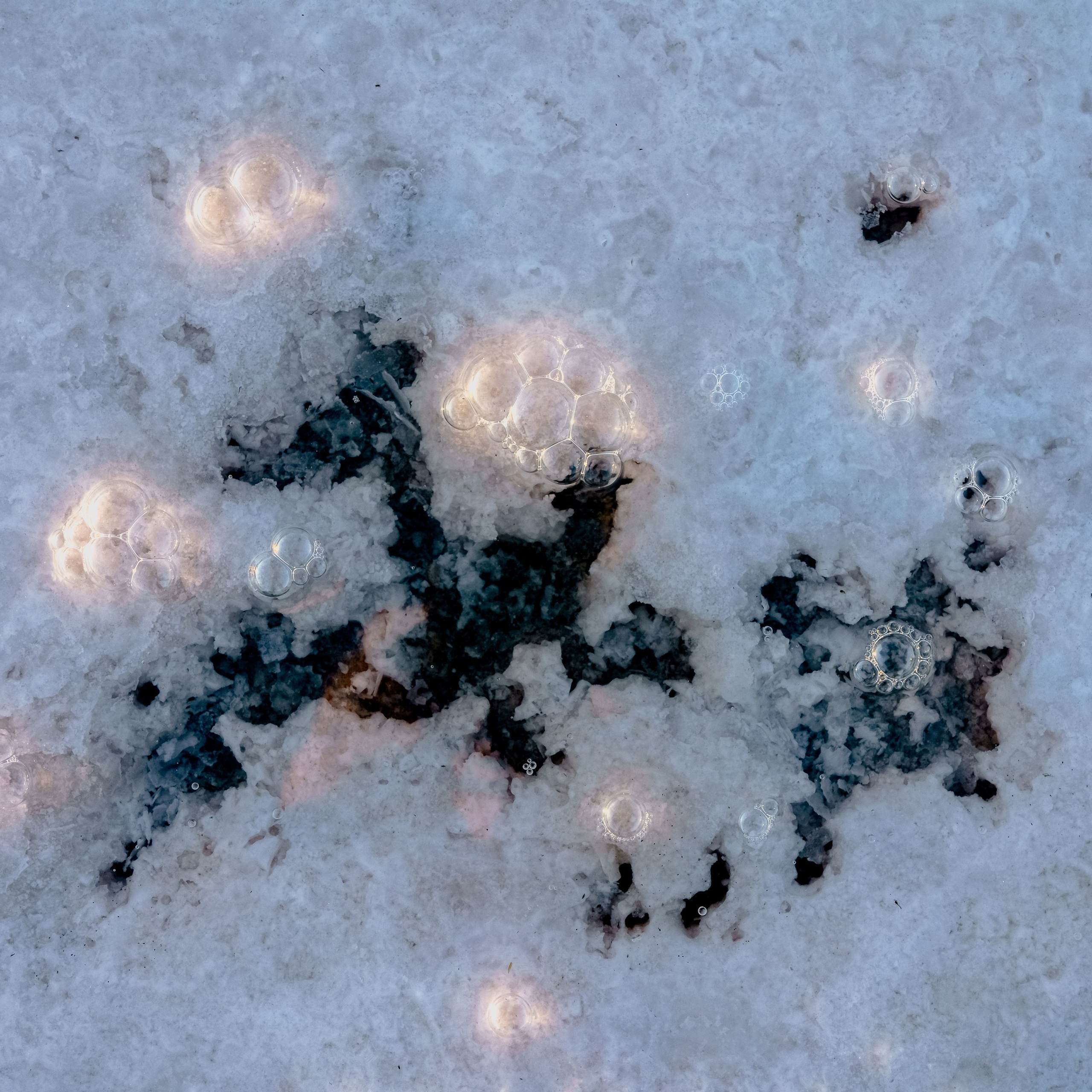 Эльтон: весенний пролет птиц