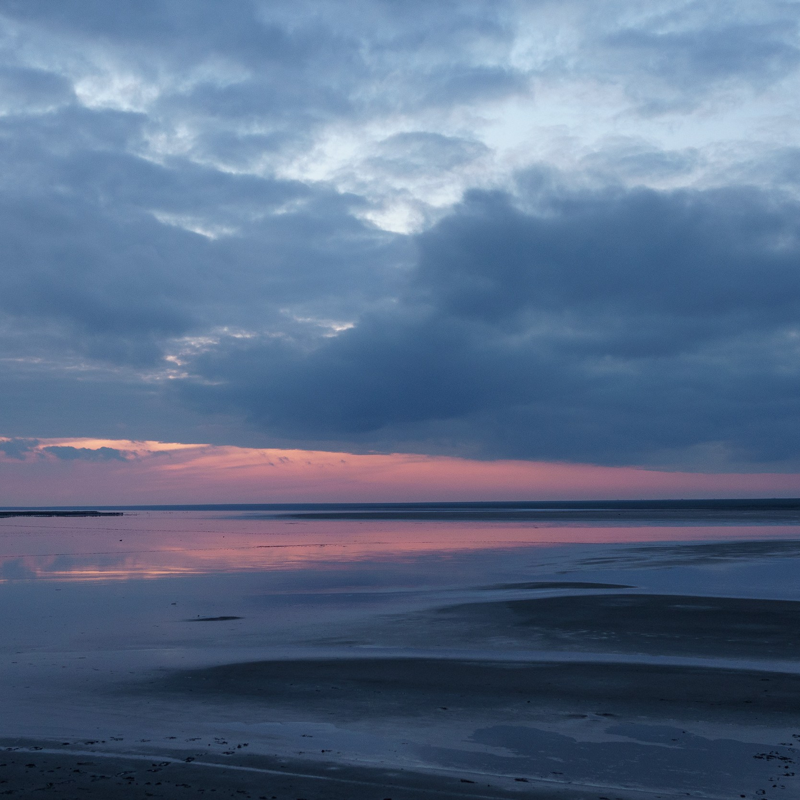 Эльтон: весенний пролет птиц