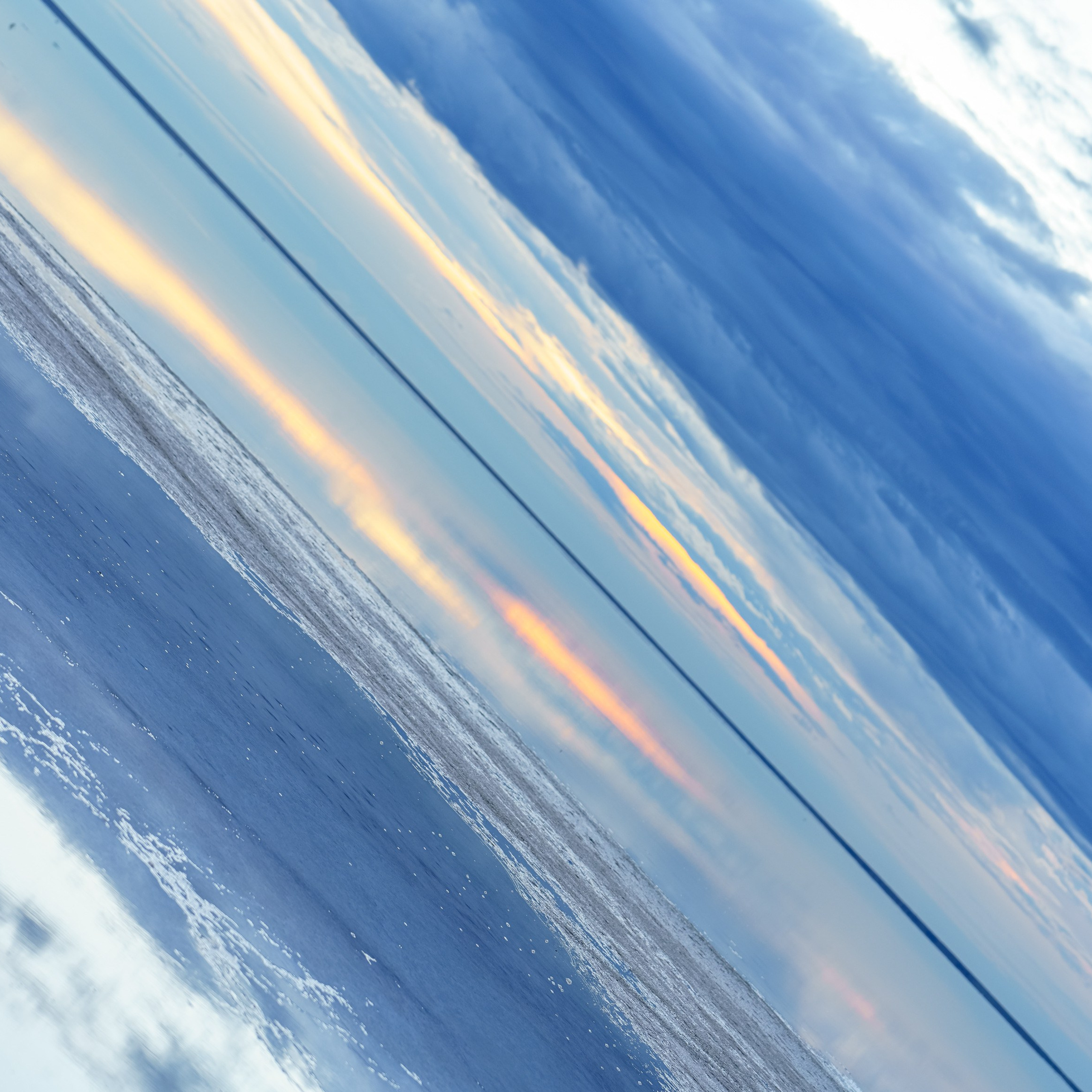 Эльтон: весенний пролет птиц