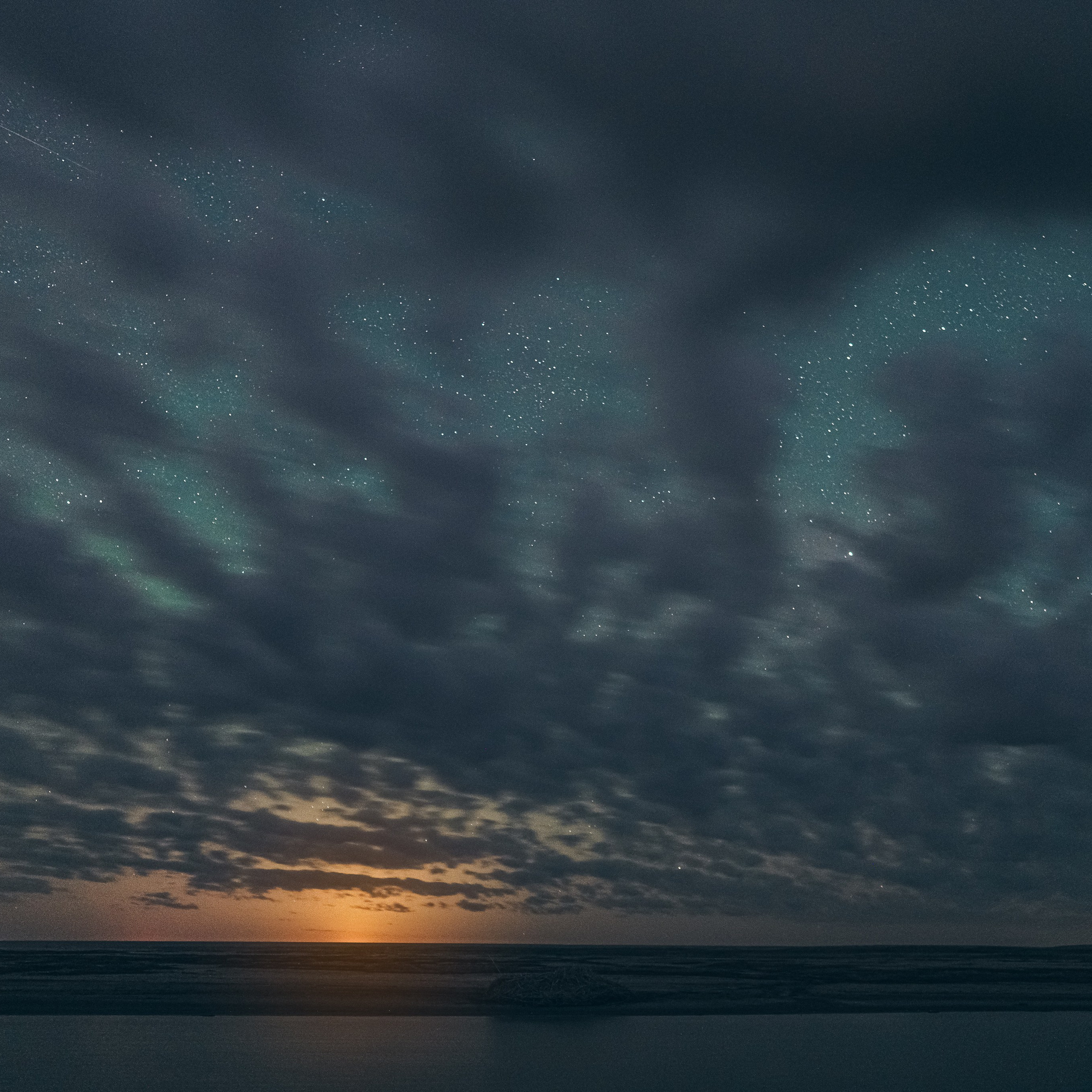 Эльтон: весенний пролет птиц