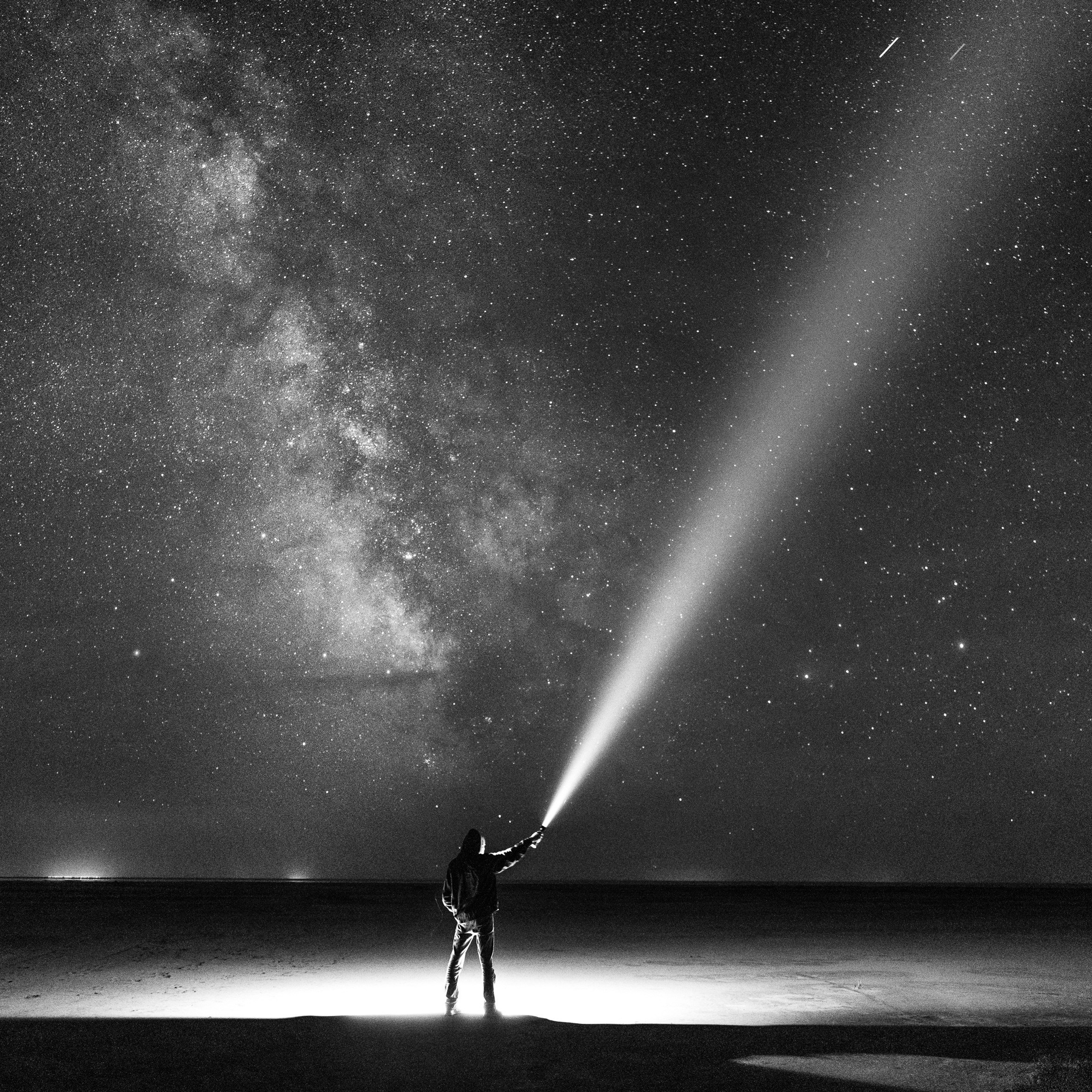 Эльтон: весенний пролет птиц