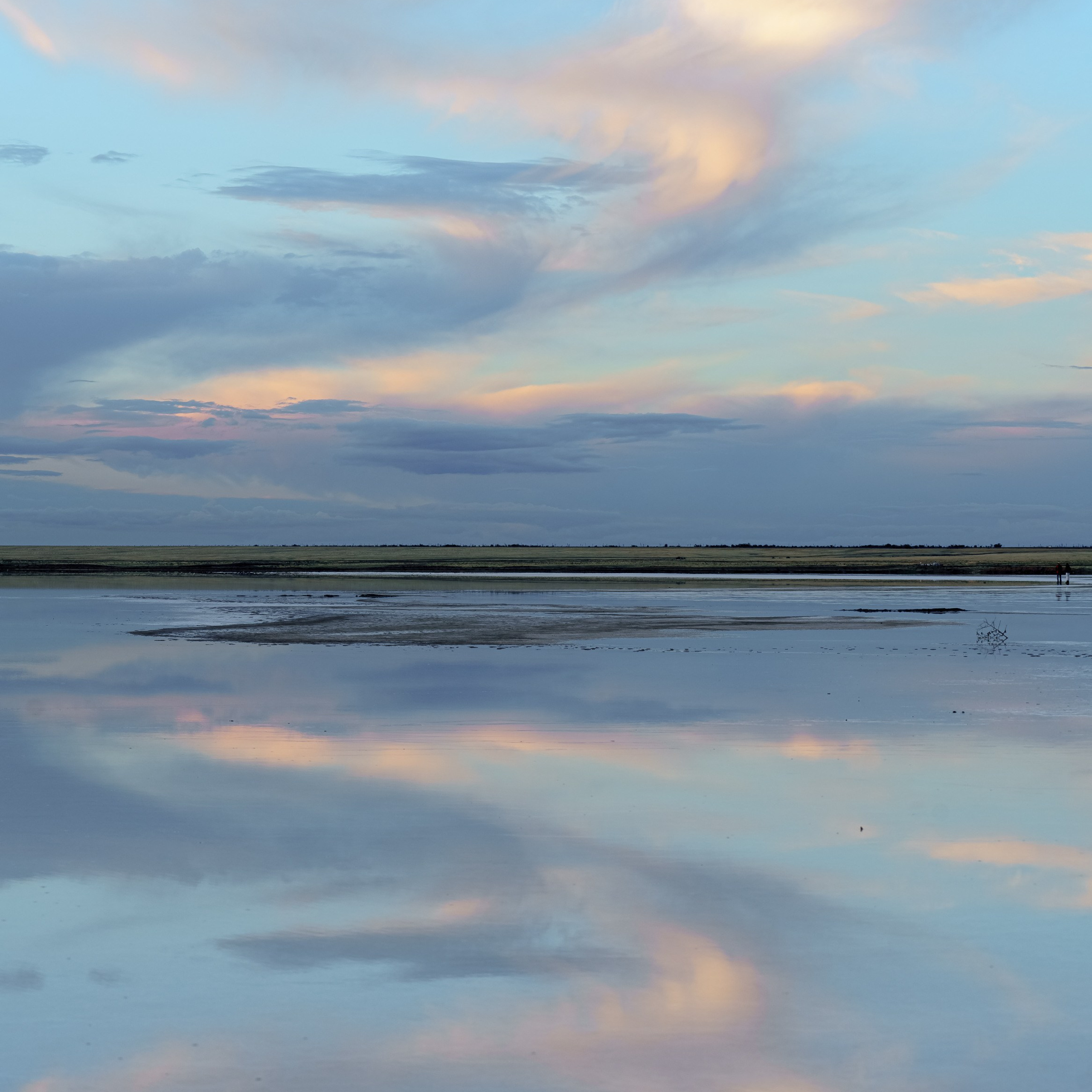 Эльтон: весенний пролет птиц