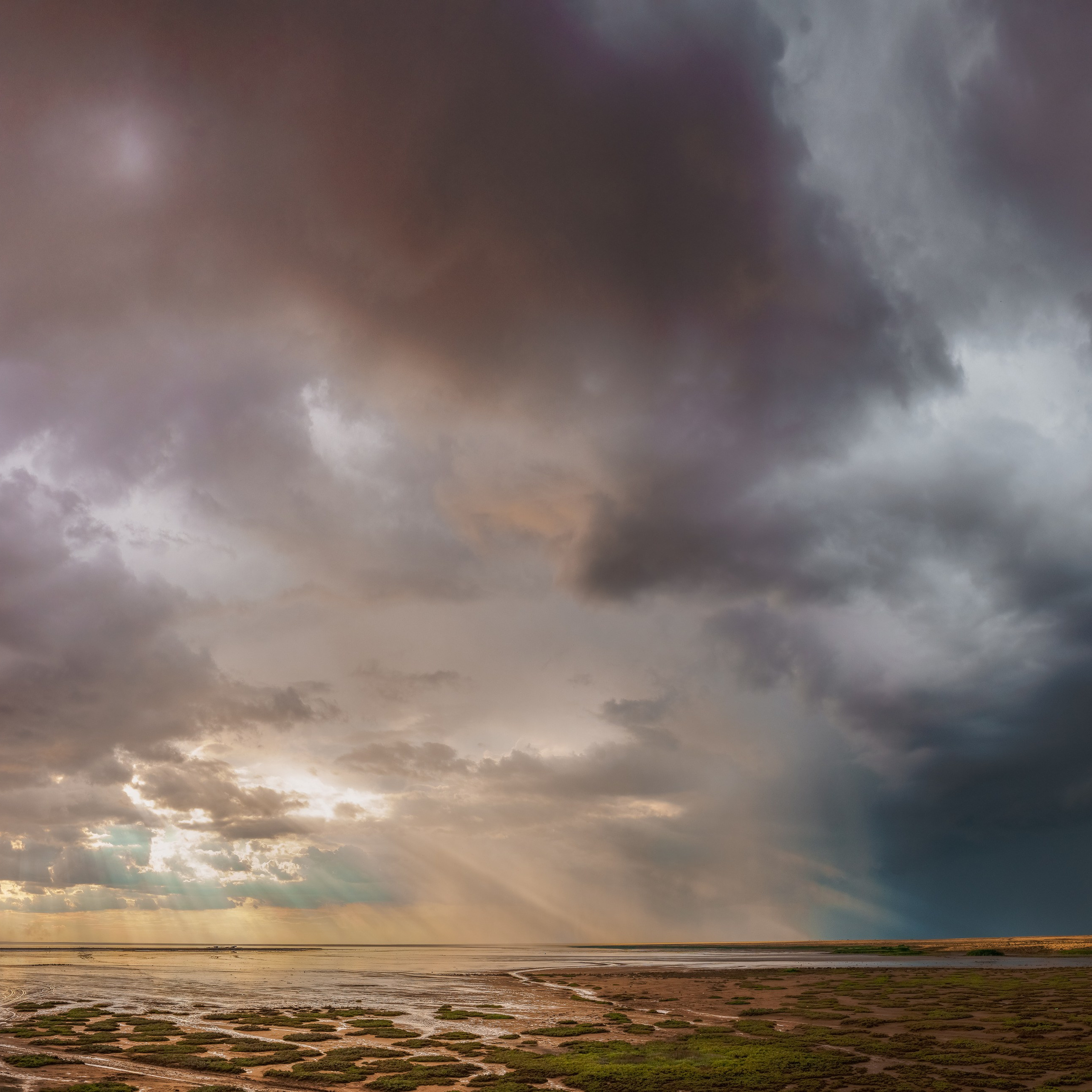 Эльтон: весенний пролет птиц