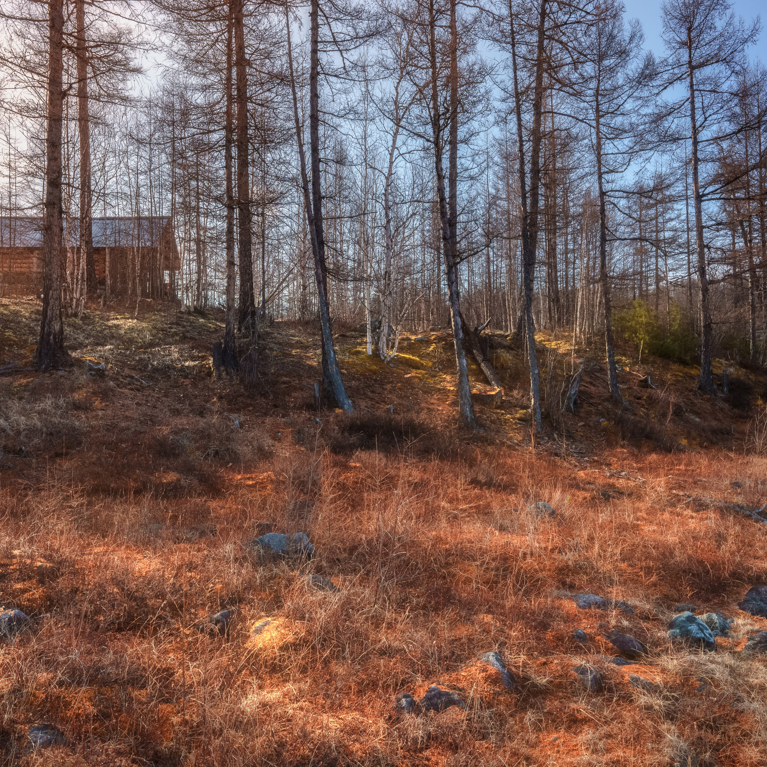 Хребет Кодар