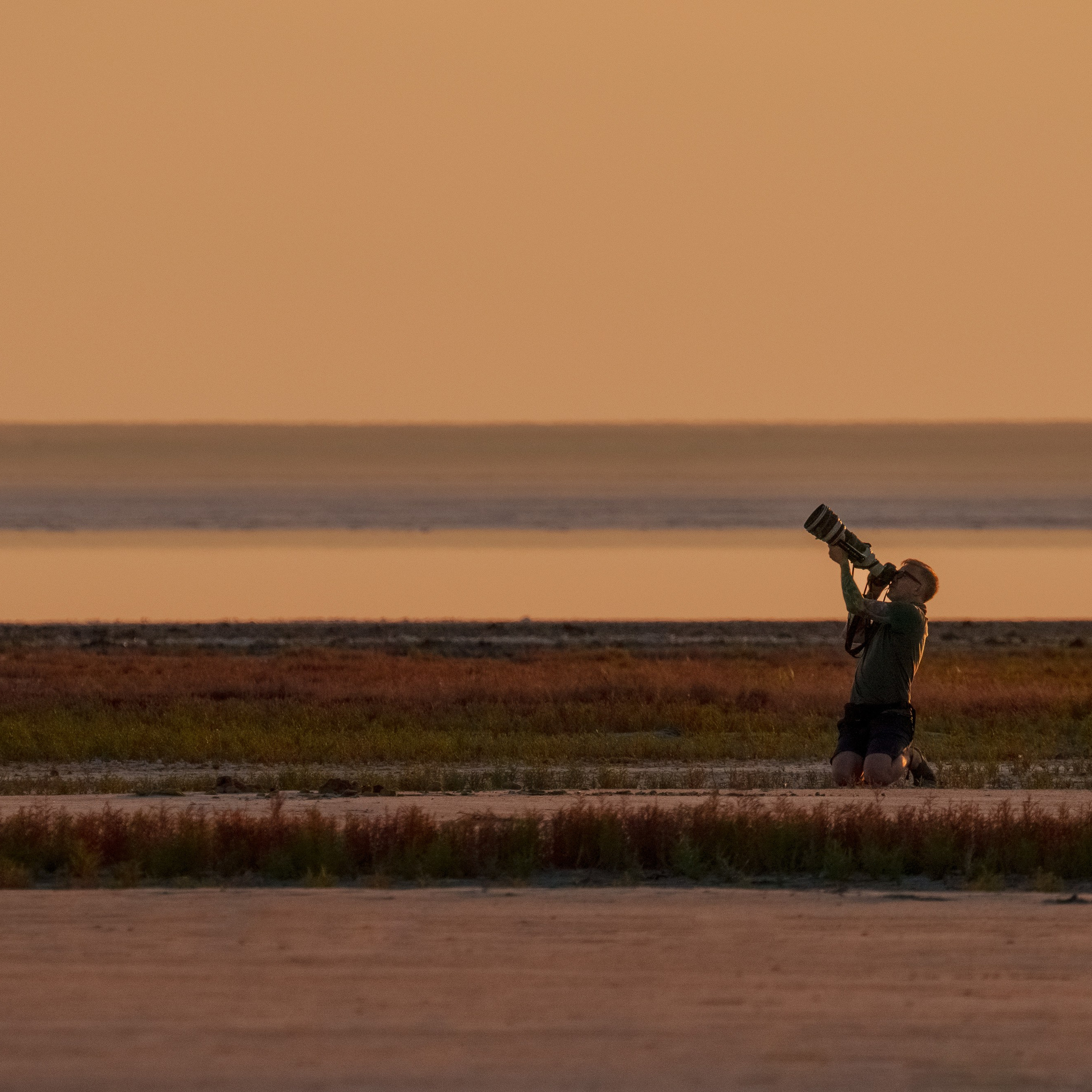 Эльтон: весенний пролет птиц