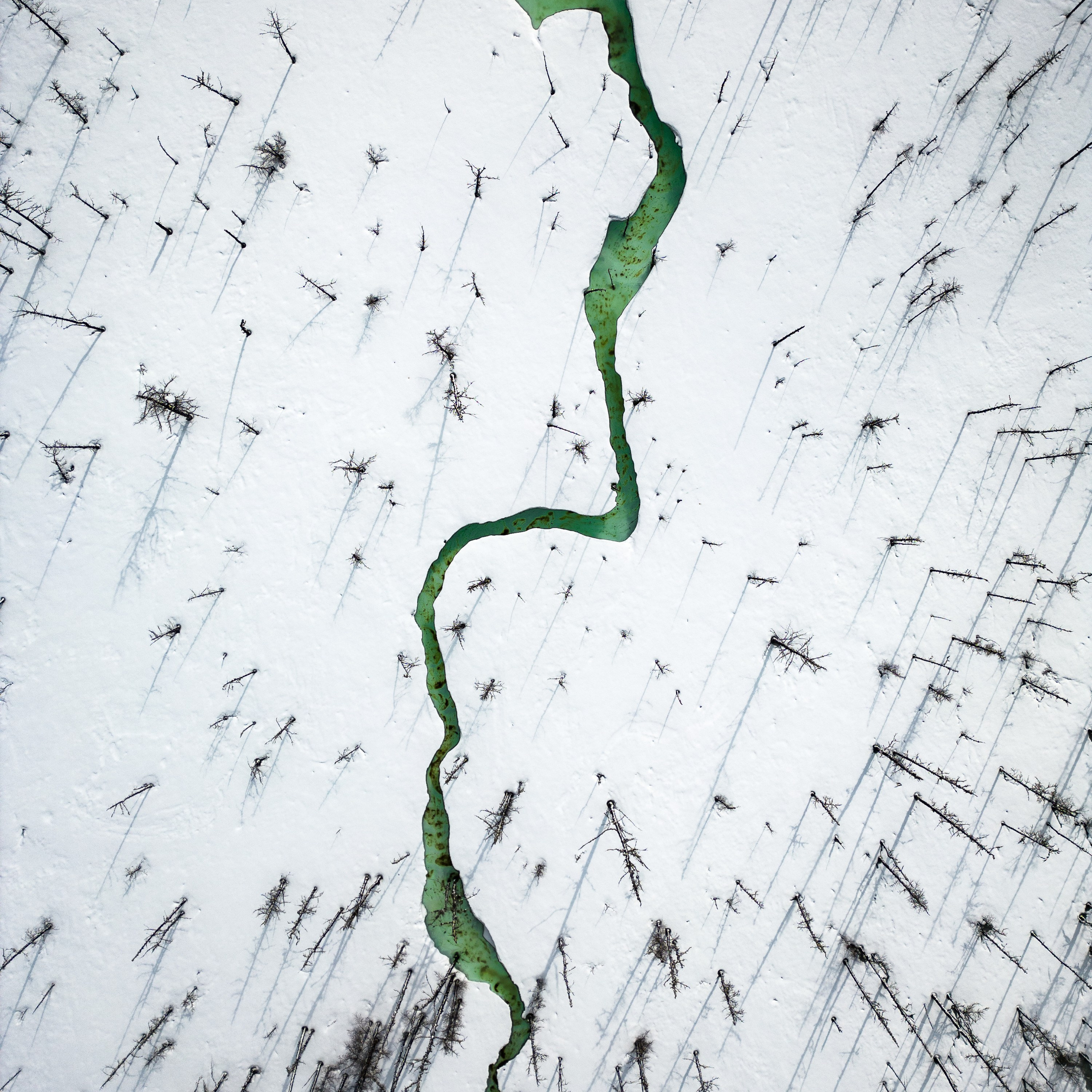 Чарские пески и Кодар