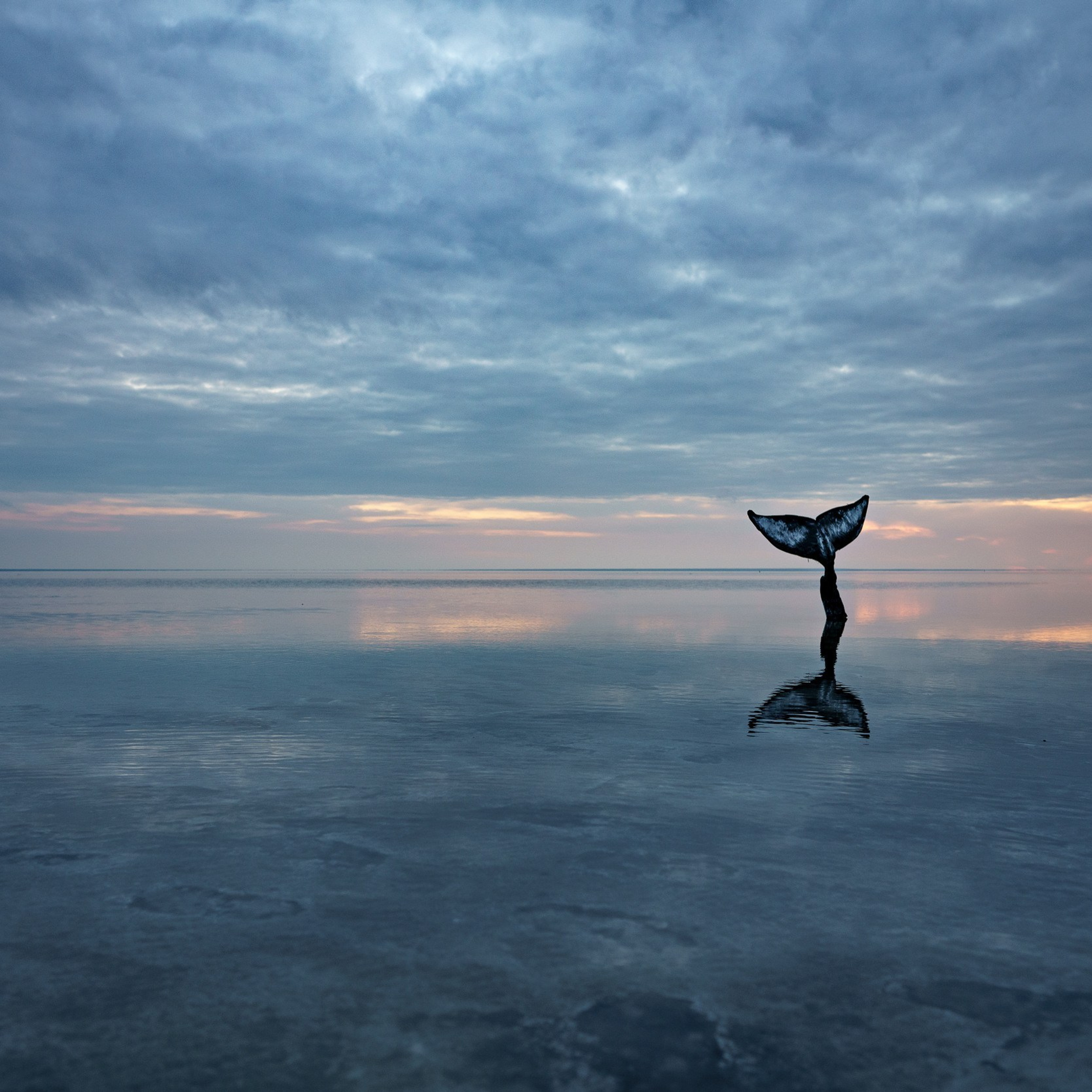 Учебный фототур на Эльтон. Июнь