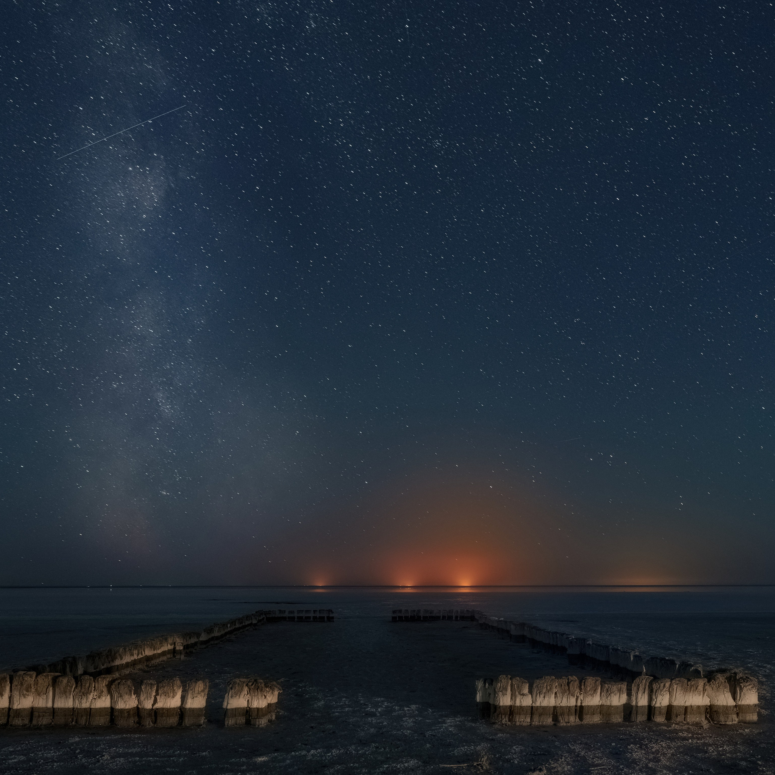 Эльтон: весенний пролет птиц