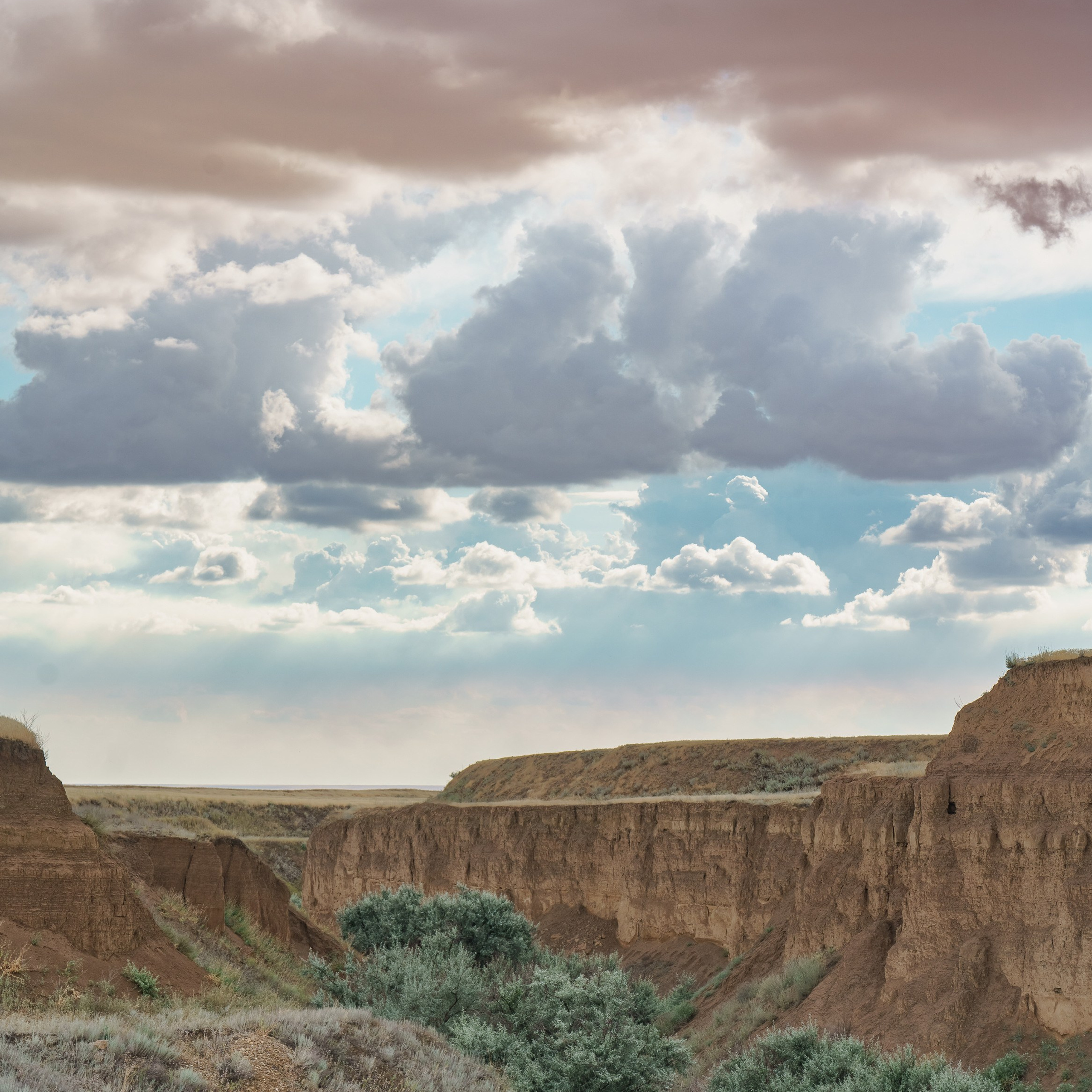 Эльтон: весенний пролет птиц
