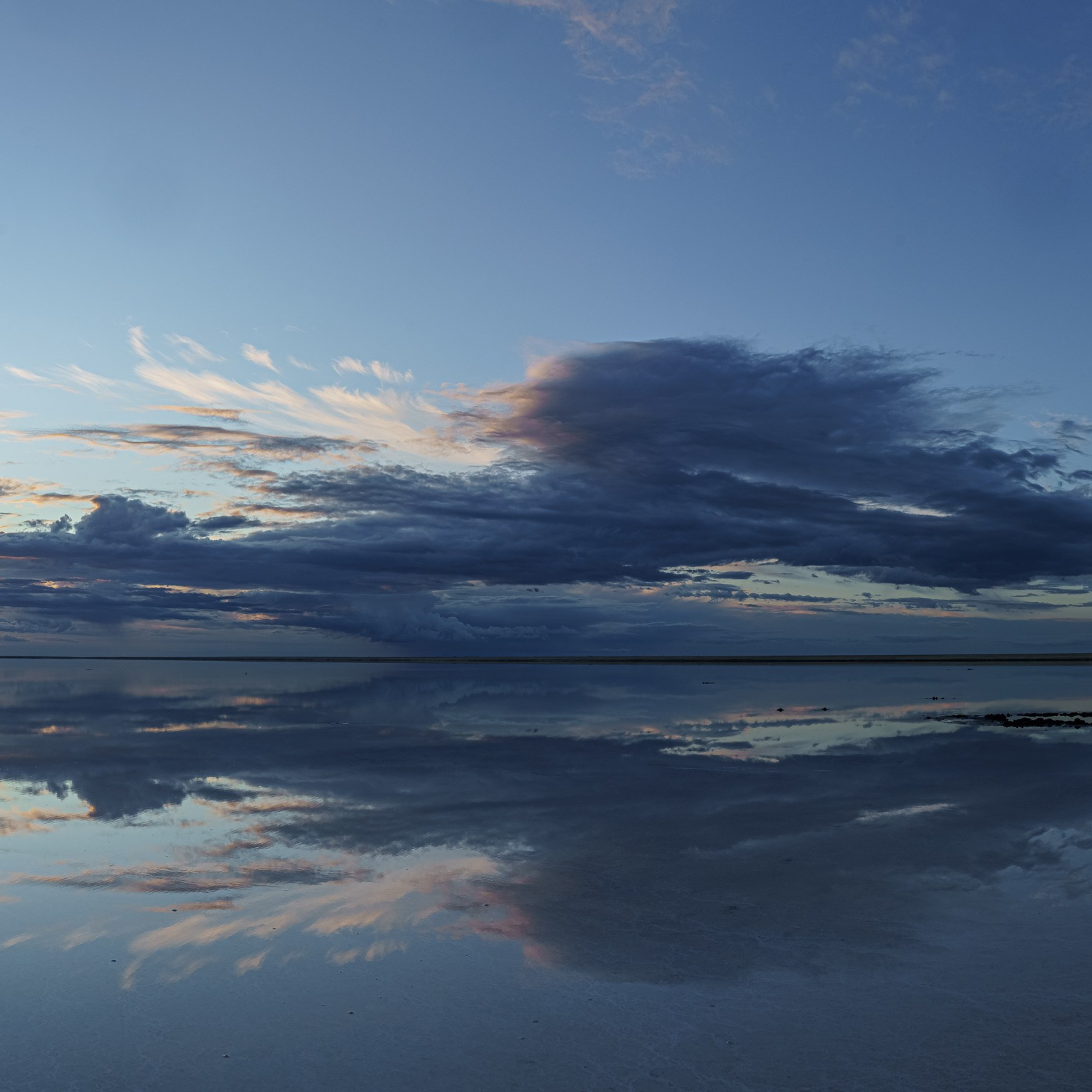 Эльтон: весенний пролет птиц