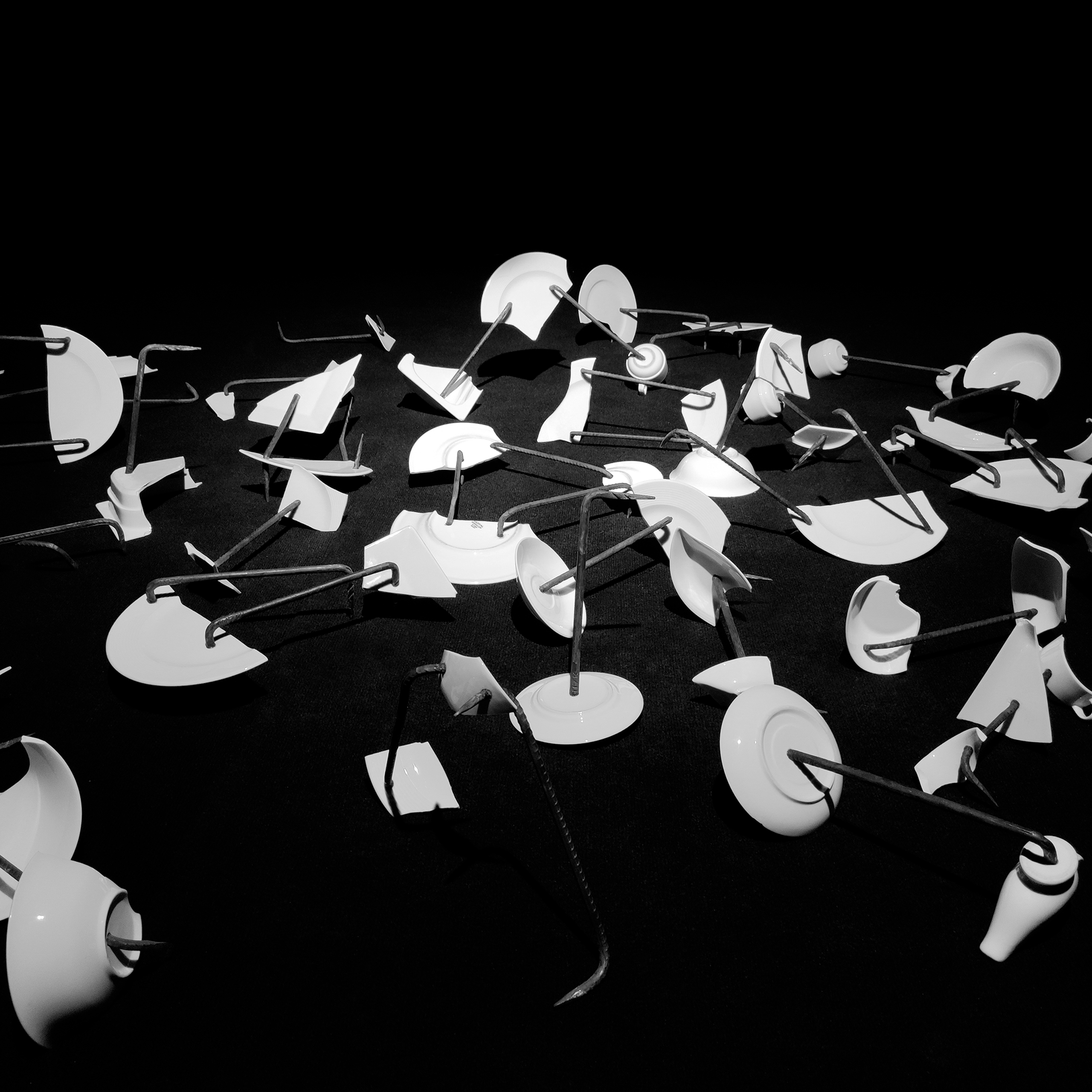 Reassembly. Elena Slobtseva is a visual multidisciplinary artist