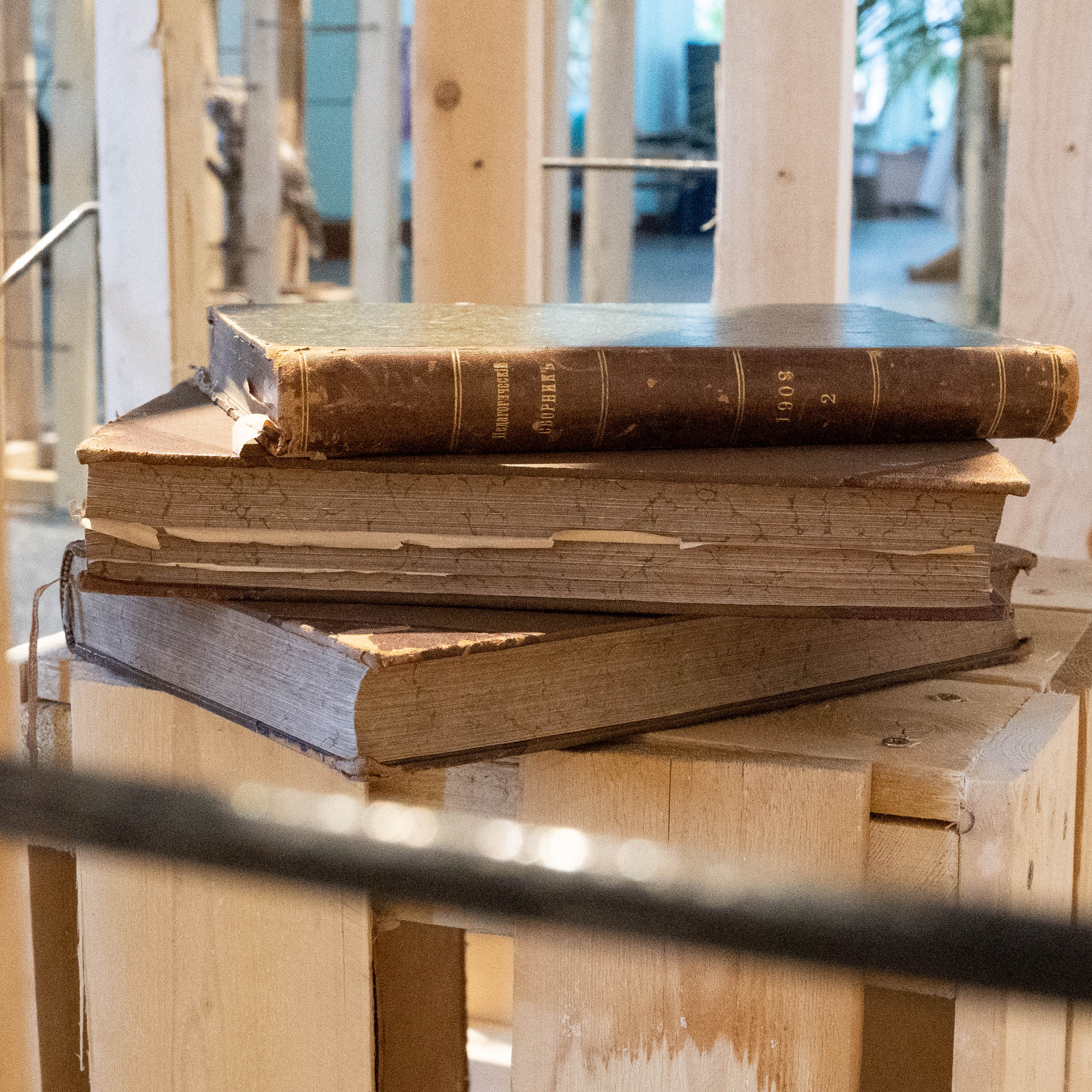 Cages for exhibits. Elena Slobtseva is a visual multidisciplinary artist